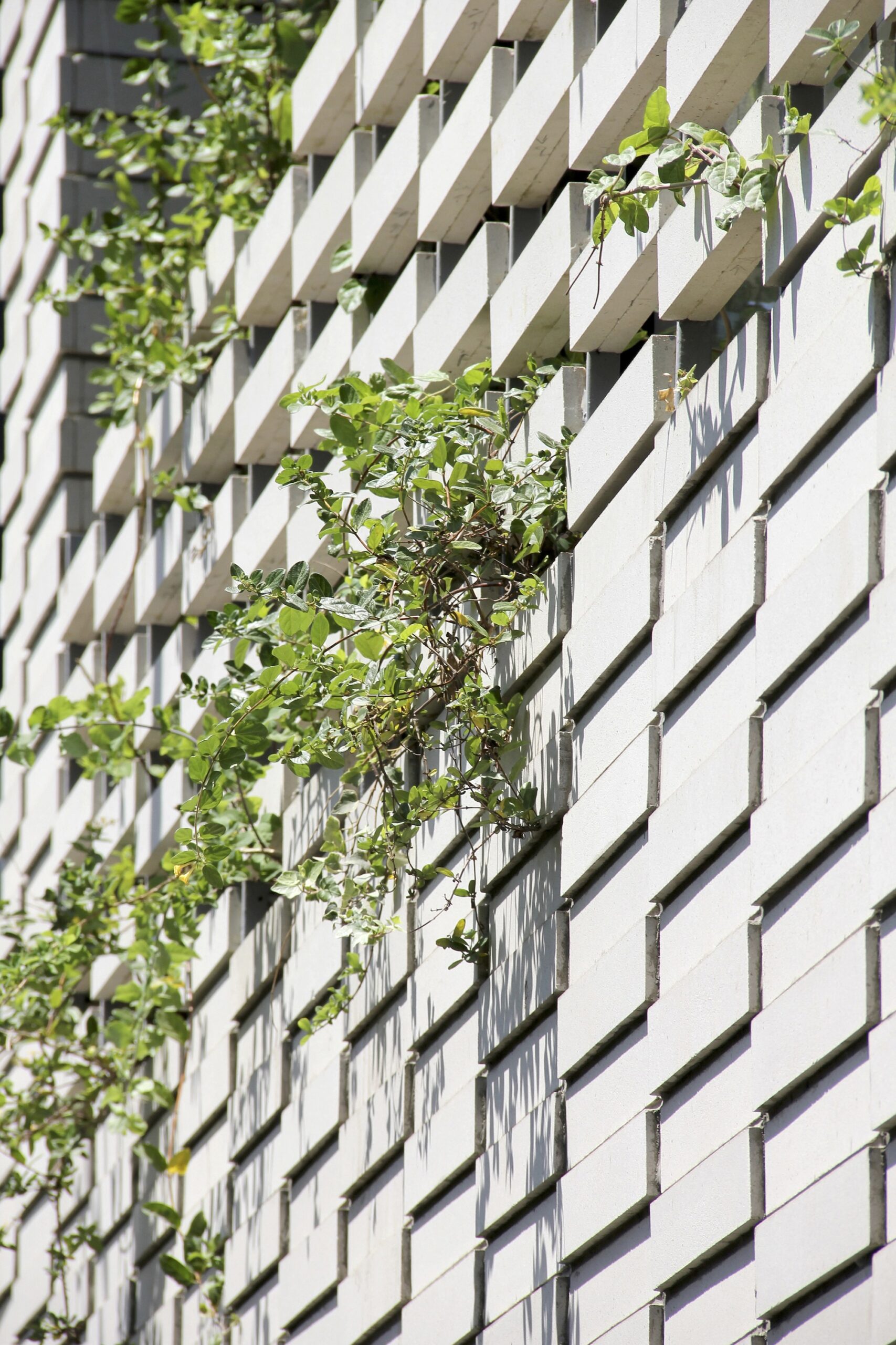 SARVESTAN Apartments