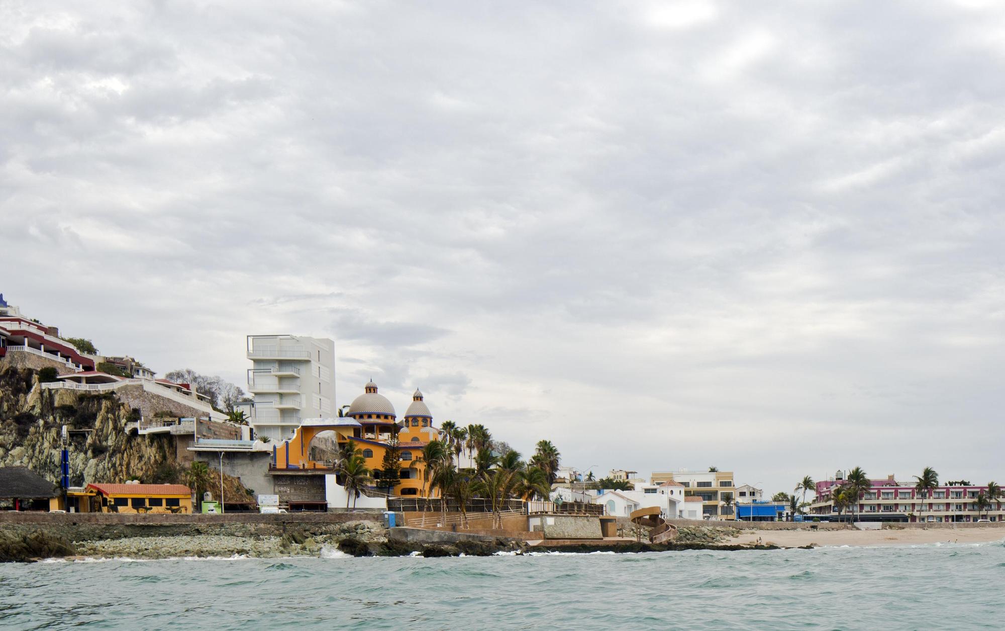 Carpa Olivera