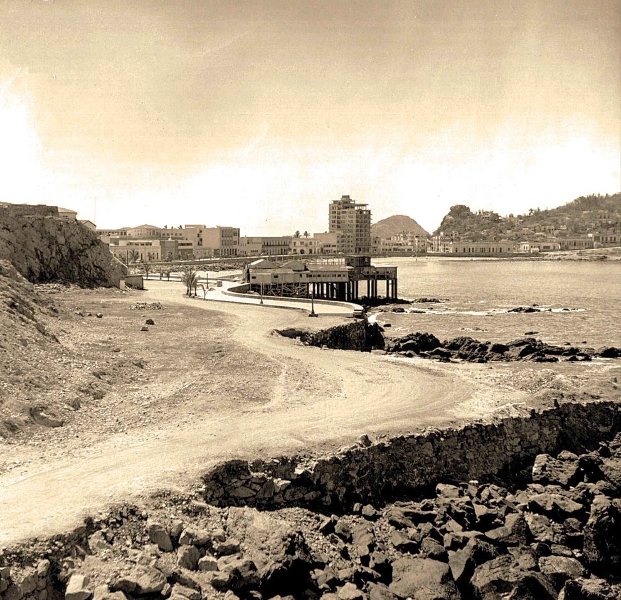 Carpa Olivera