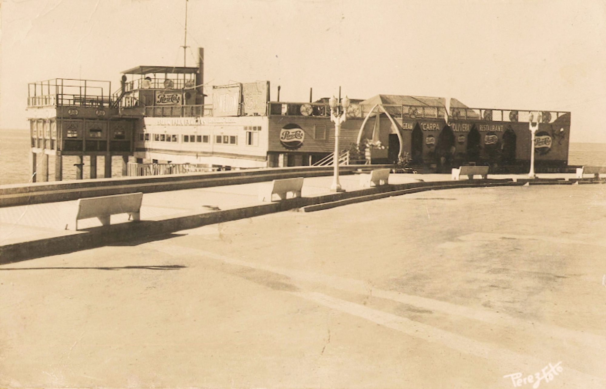 Carpa Olivera
