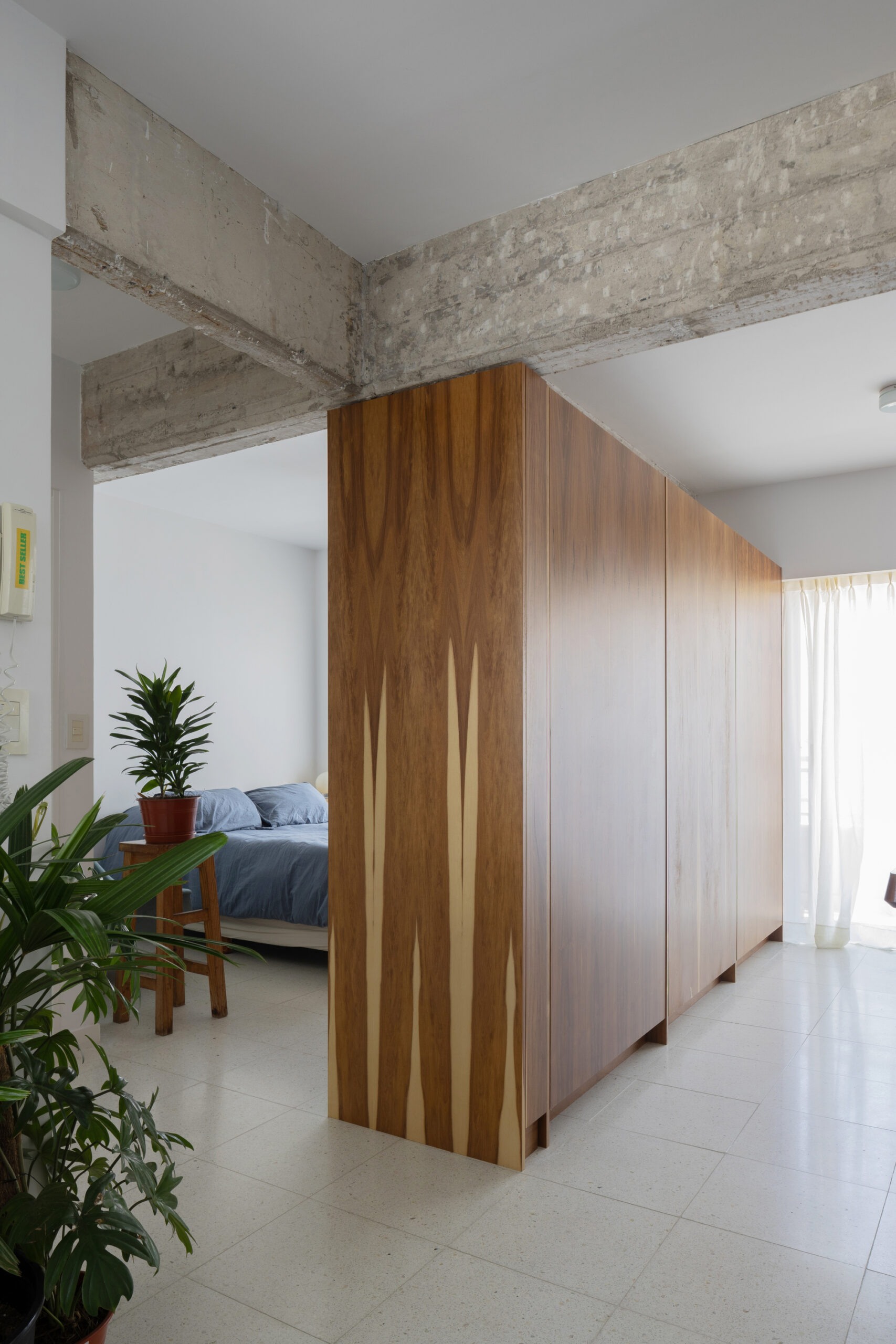Renovation of Sofia's apartment
