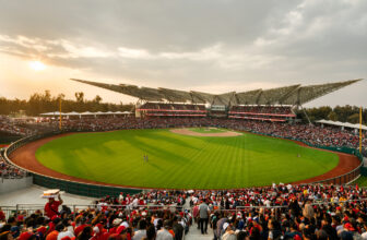 "Diablos Rojos" Alfredo Harp Helú Stadium