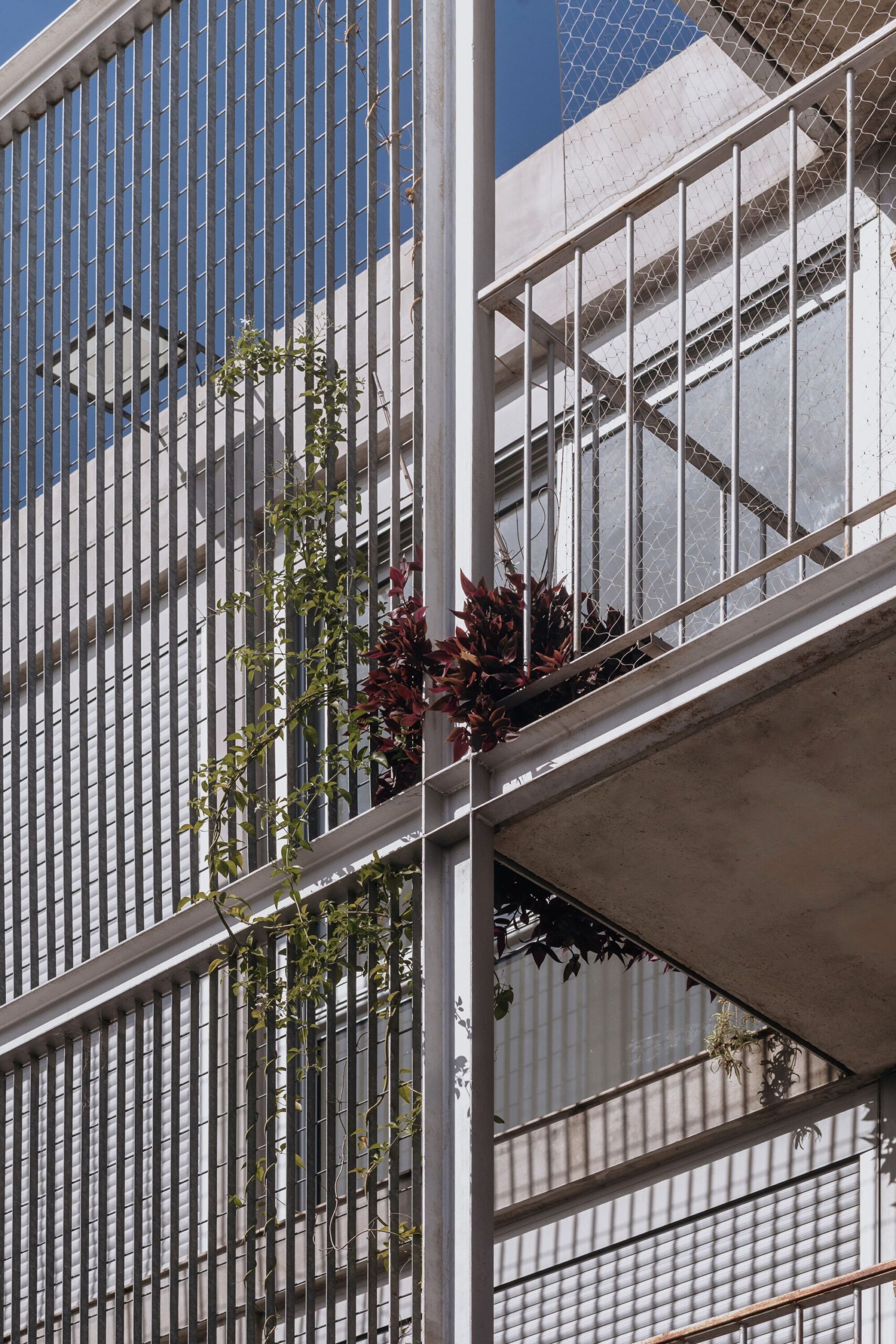 Edificio Morelli
