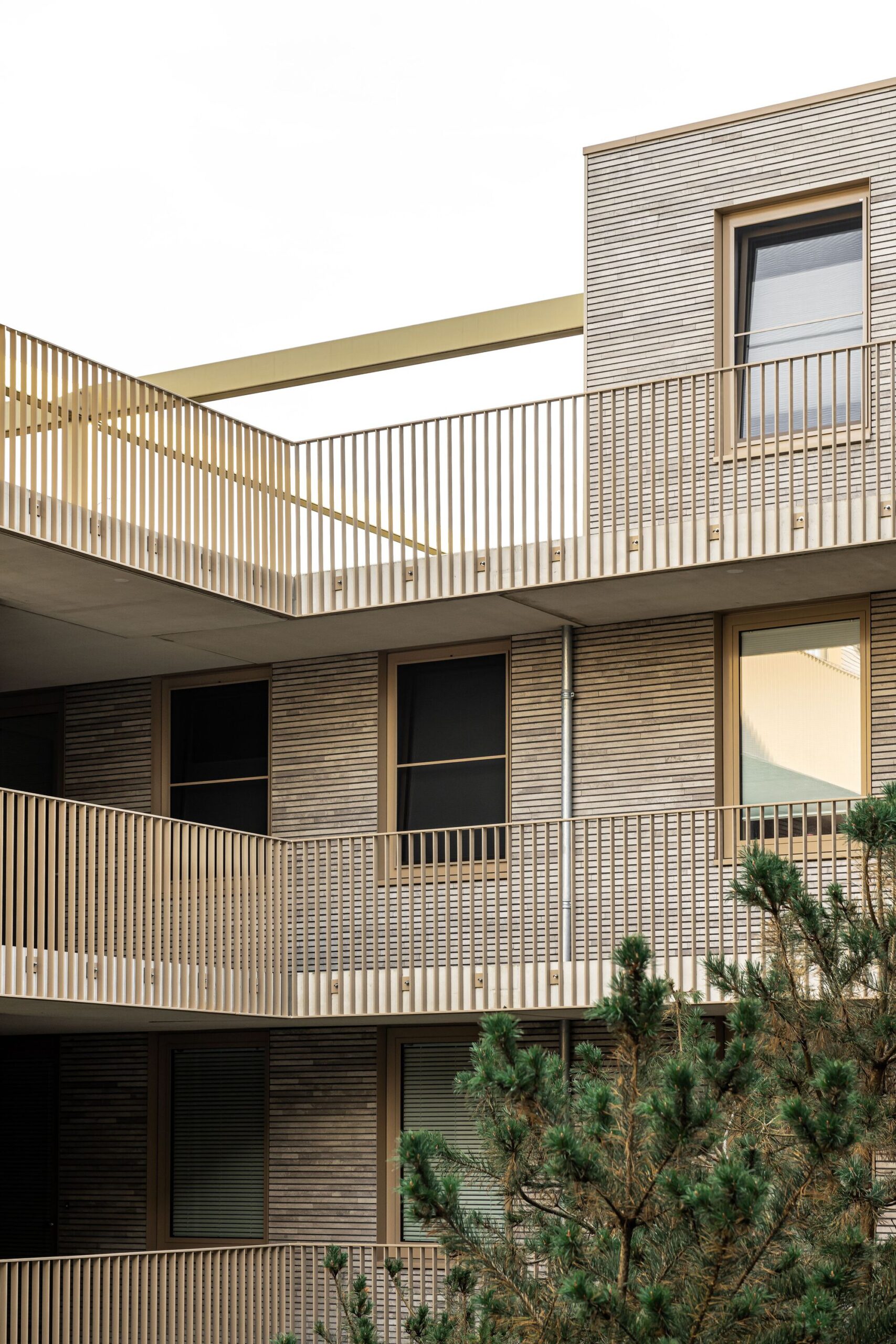 Parkbuilding De Veentjes