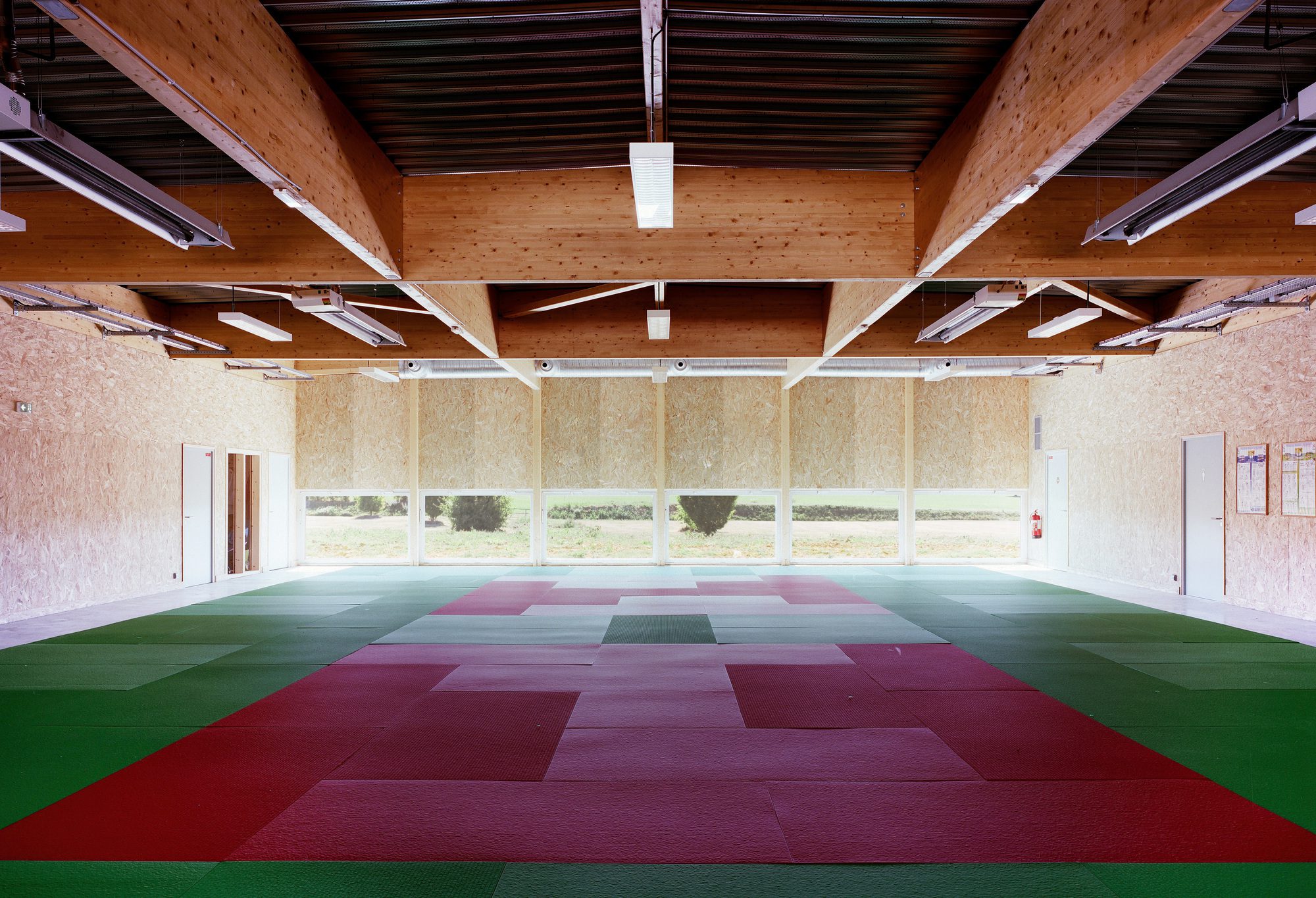 Sonzay’s Sports Dojo