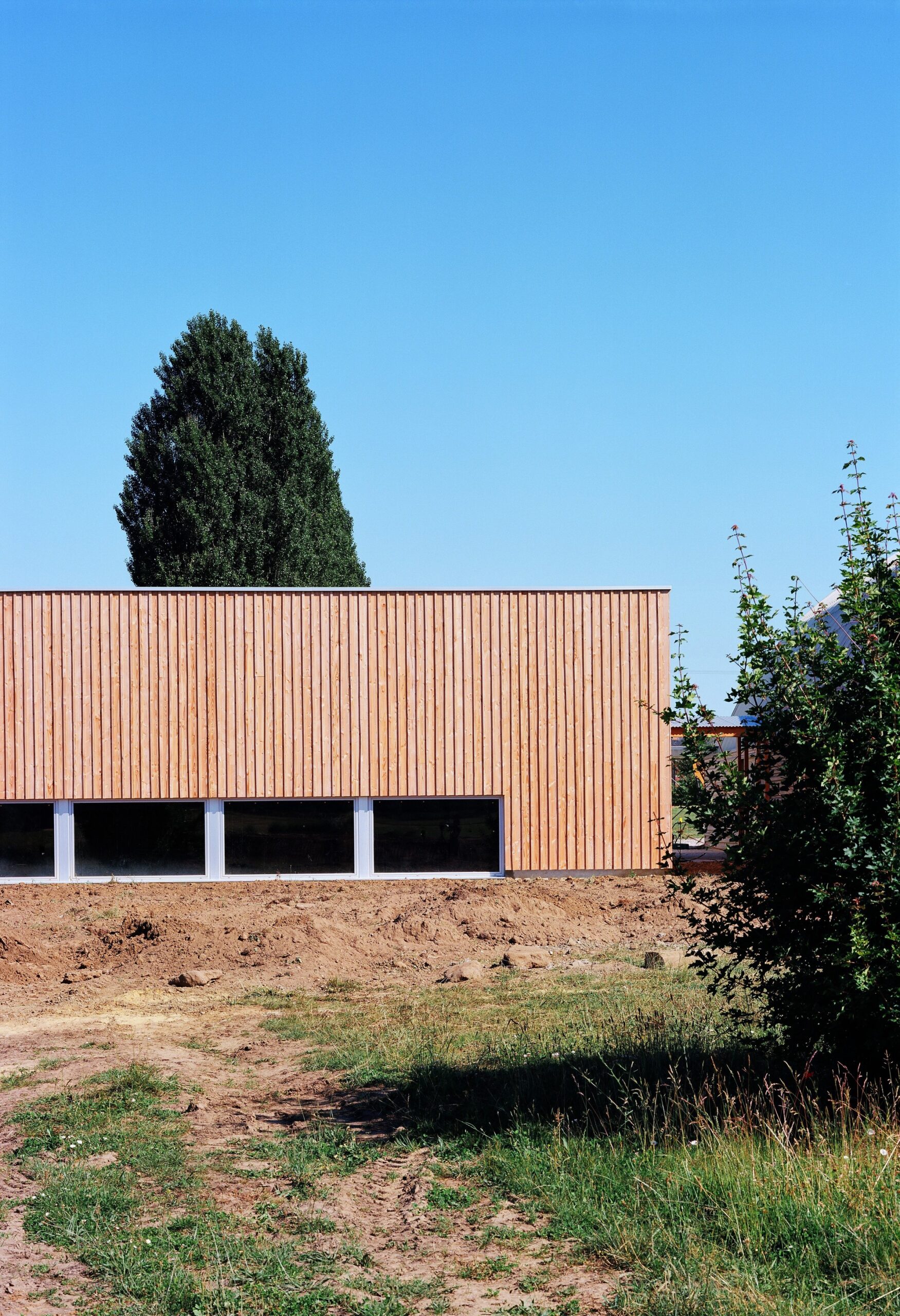 Sonzay’s Sports Dojo