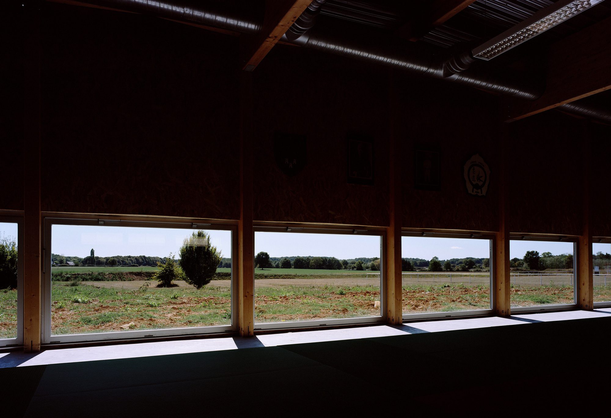 Sonzay’s Sports Dojo