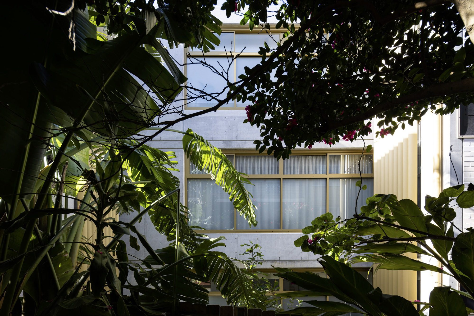 Bangalay Residences
