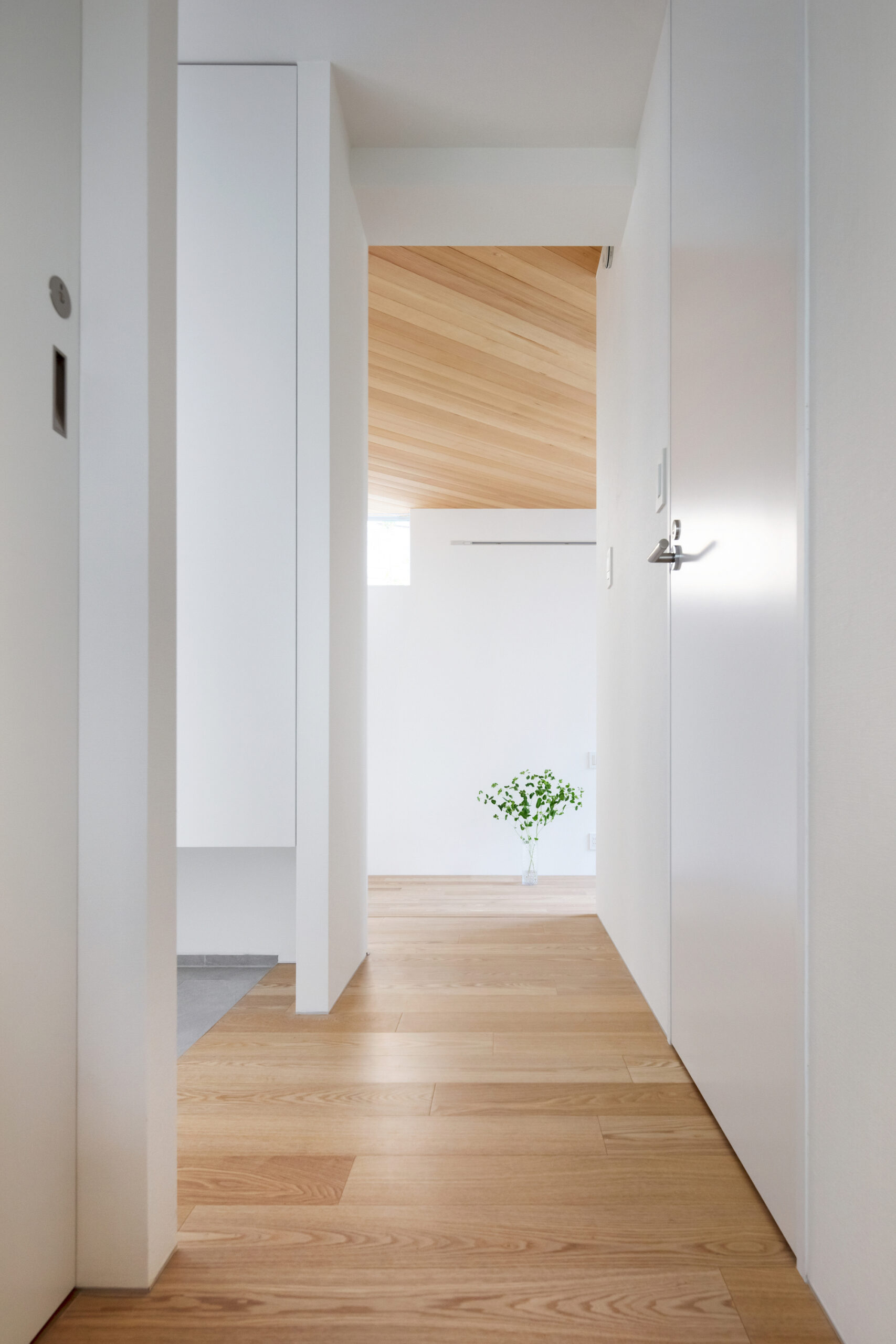 i-Ap Apartment