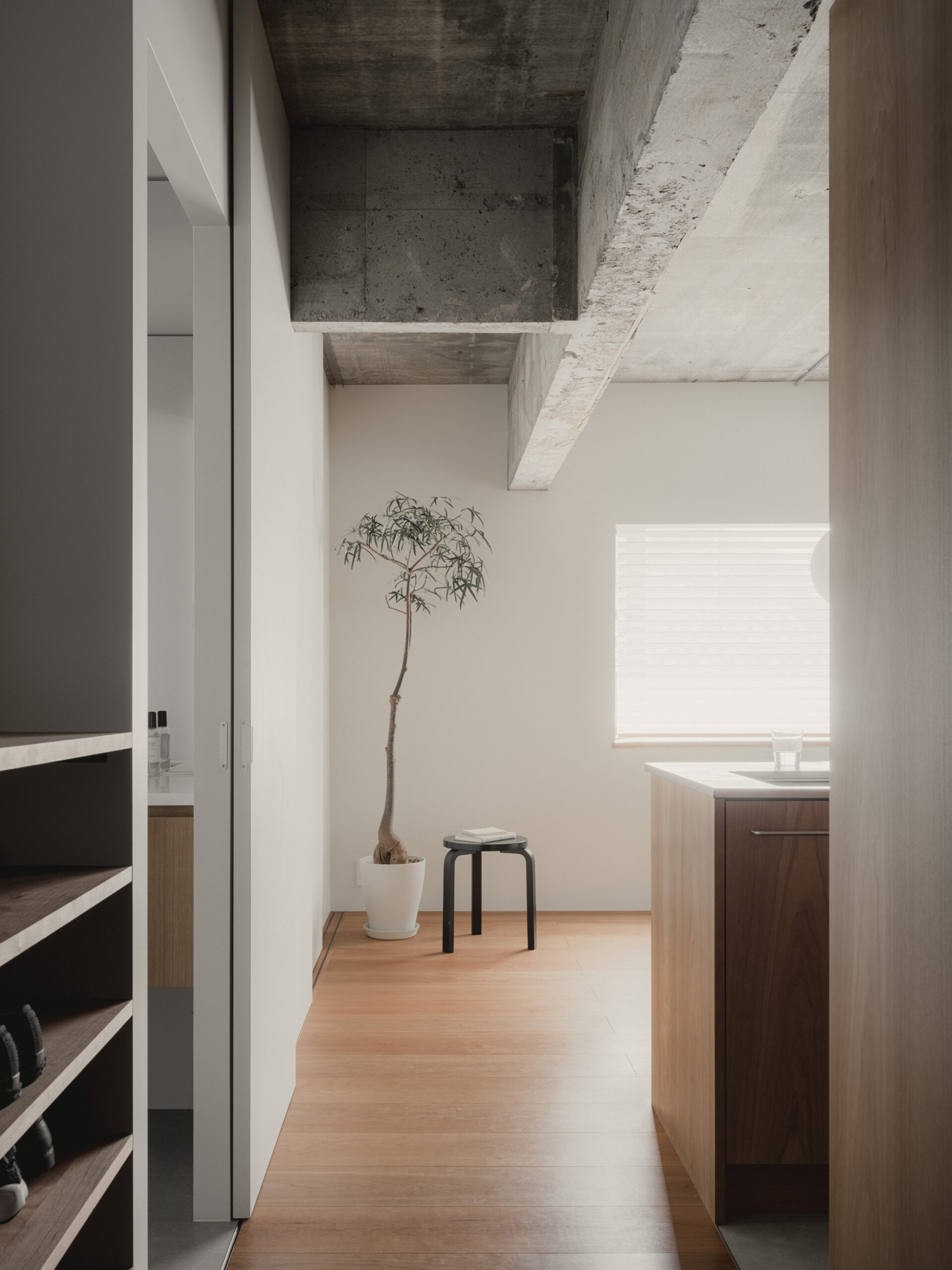 House in Hakusan
