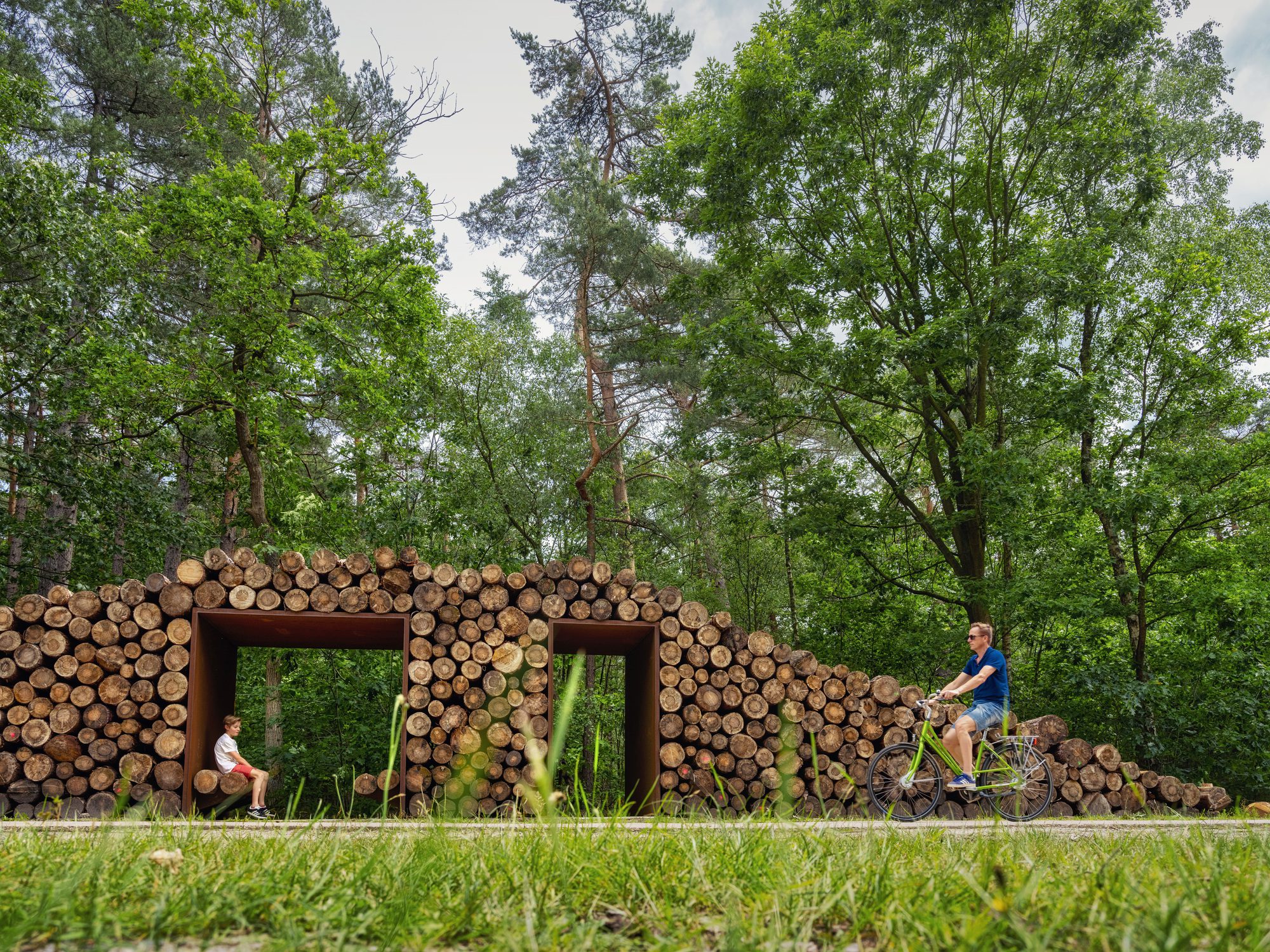 Cycling through the Trees