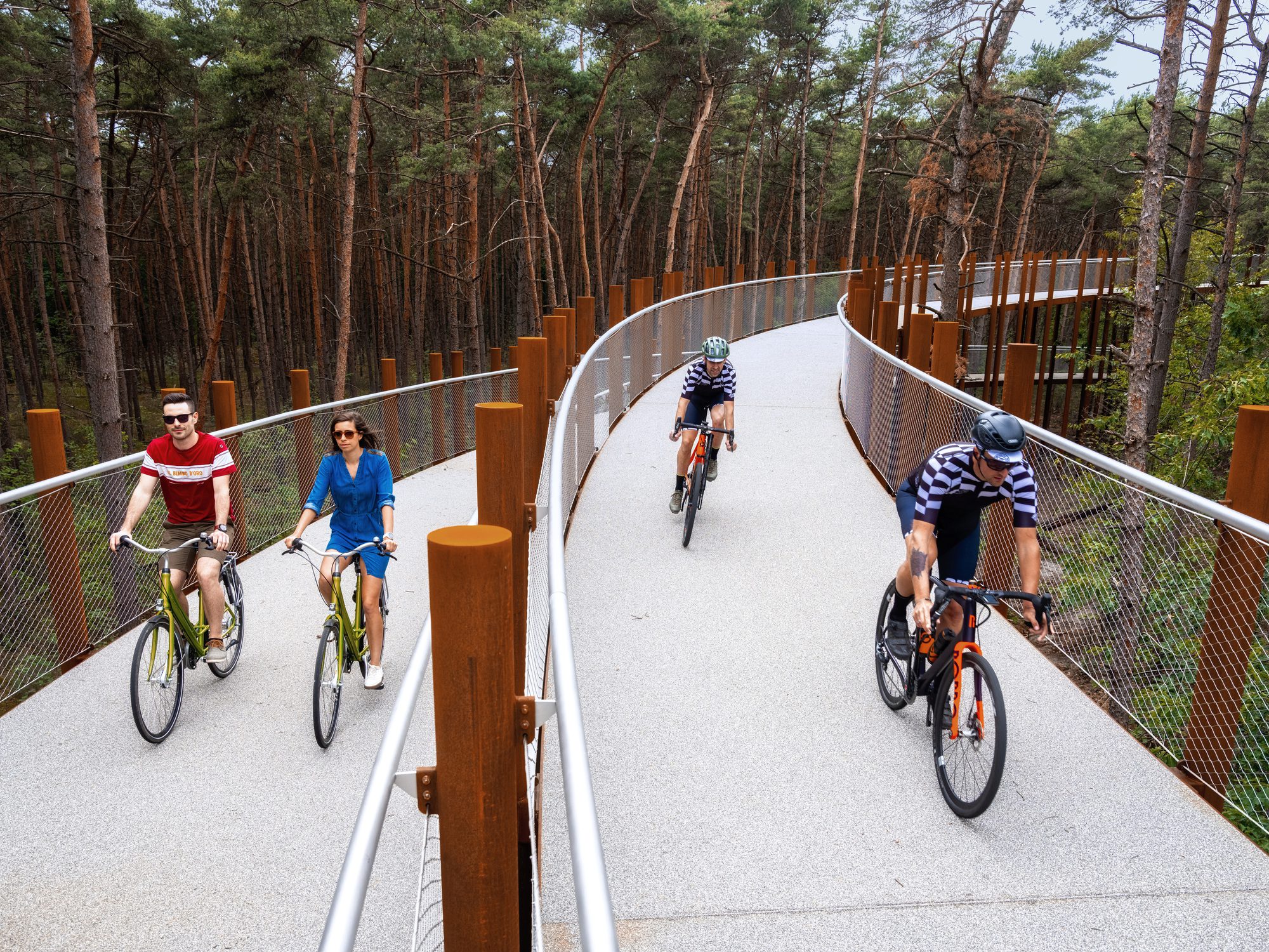 Cycling through the Trees