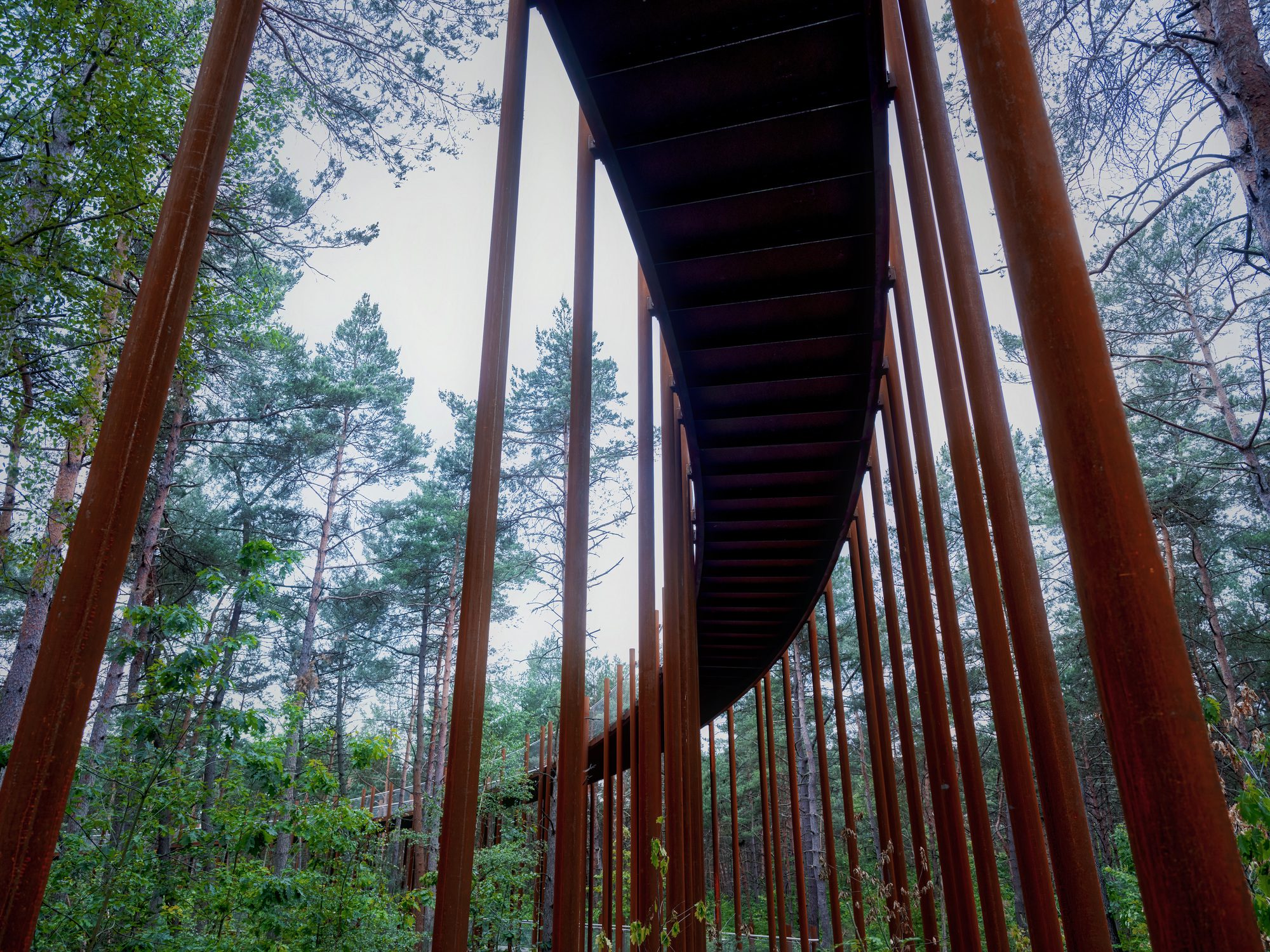 Cycling through the Trees