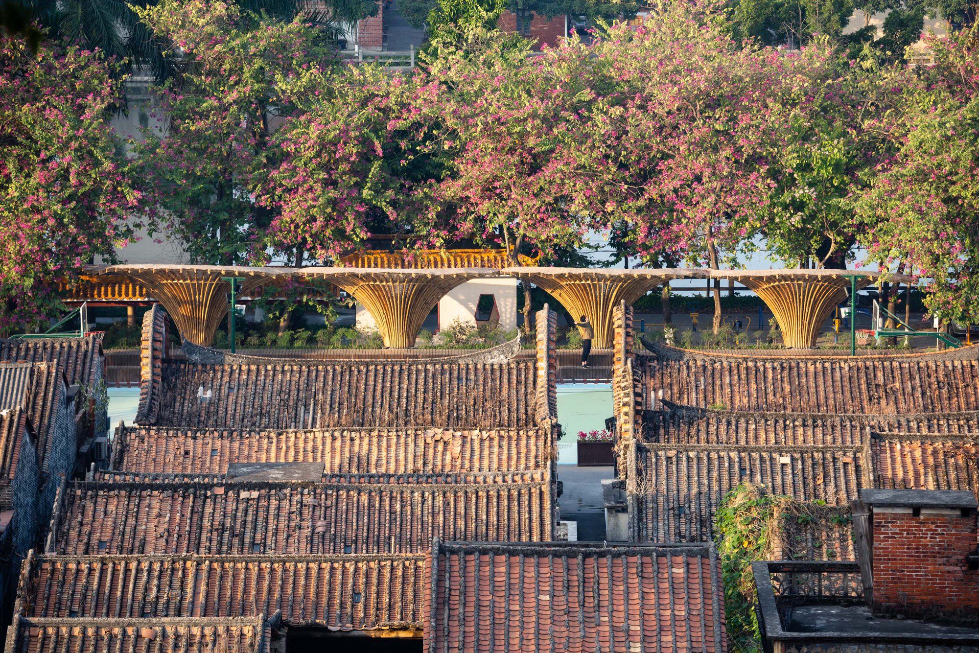 Changqi Stadium Bamboo Corridor