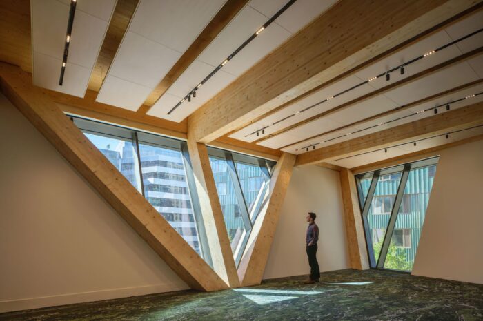 David Rubenstein Treehouse