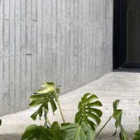 dl1310 young and ayata plus micha architecture 4