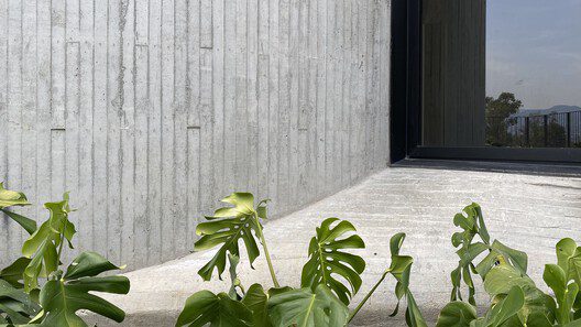 dl1310 young and ayata plus micha architecture 4