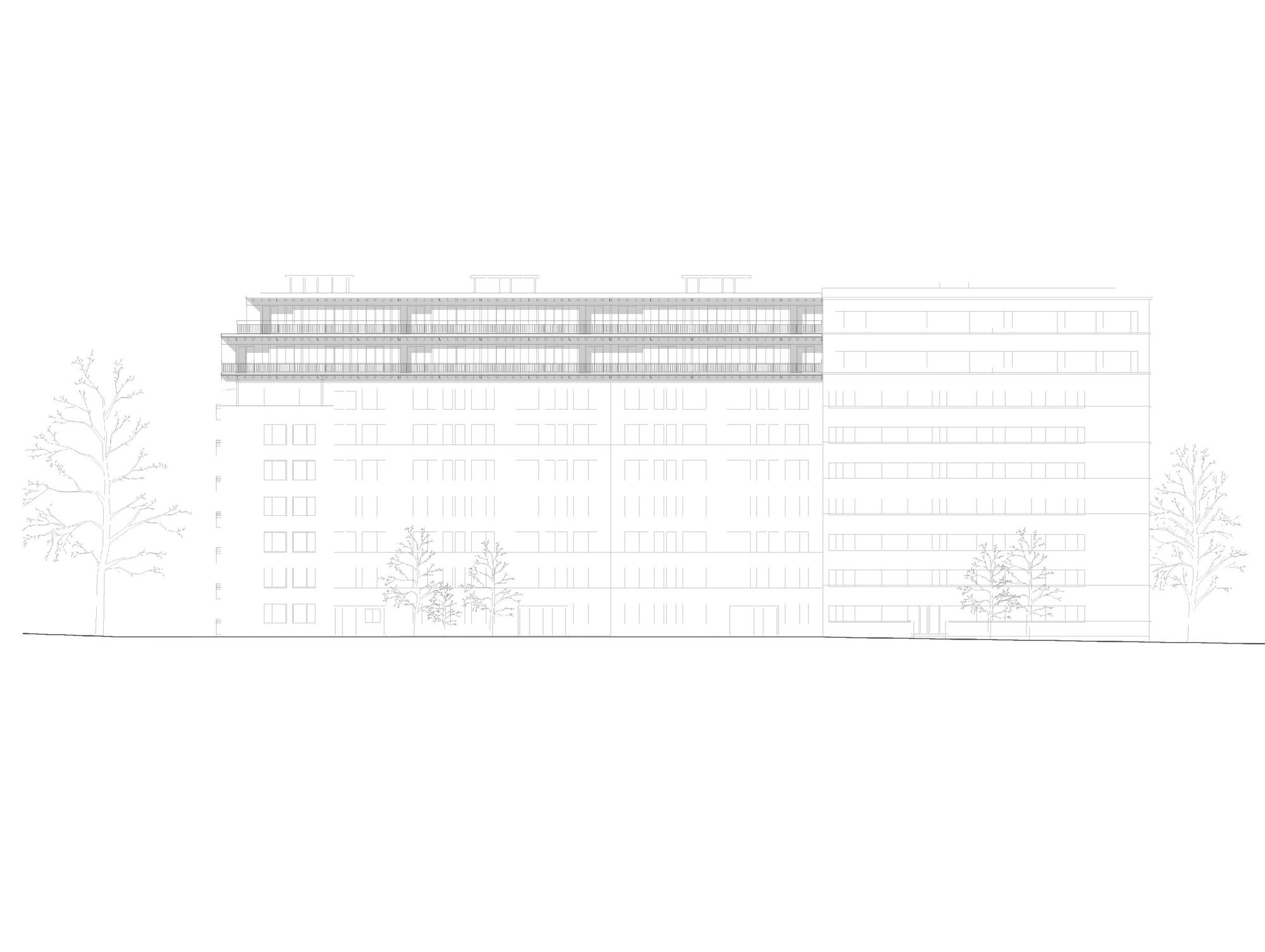Vertical Extension on Avenue Wendt