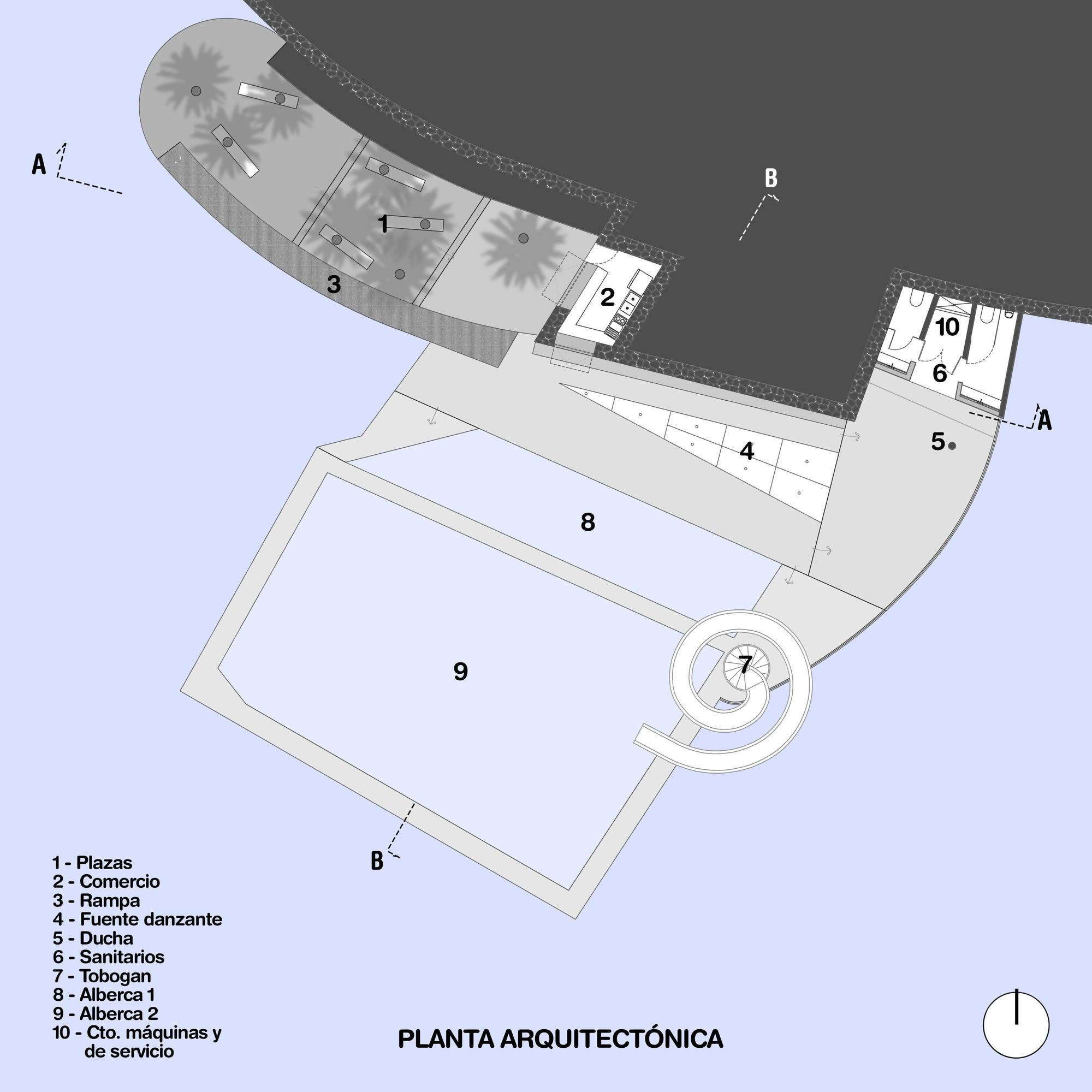 Carpa Olivera