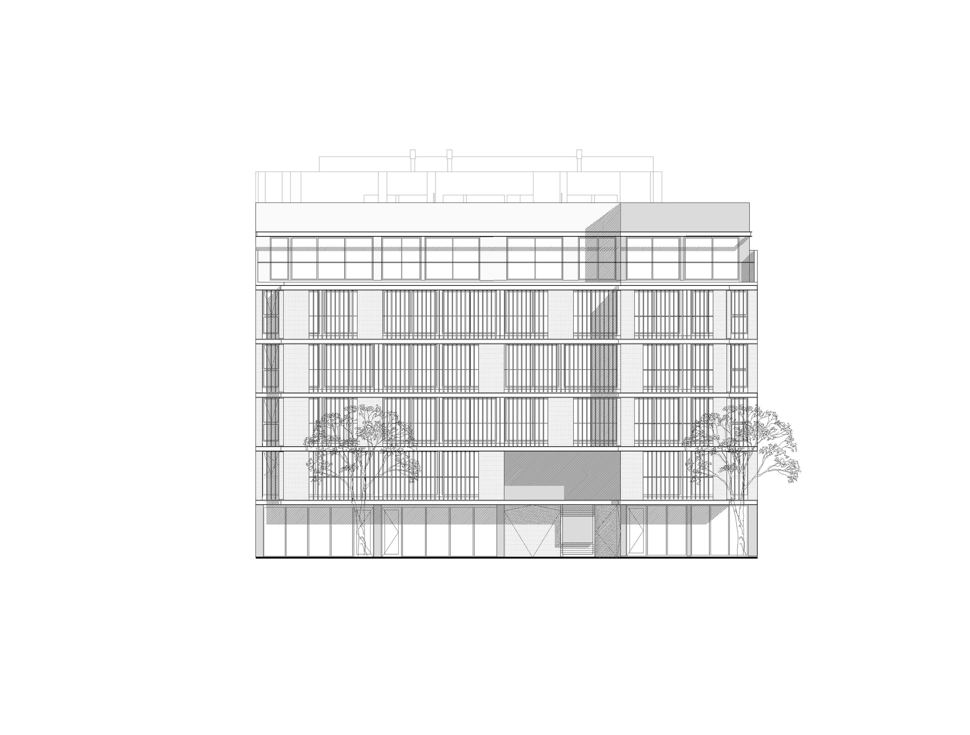 Donado 1601 Apartment Building
