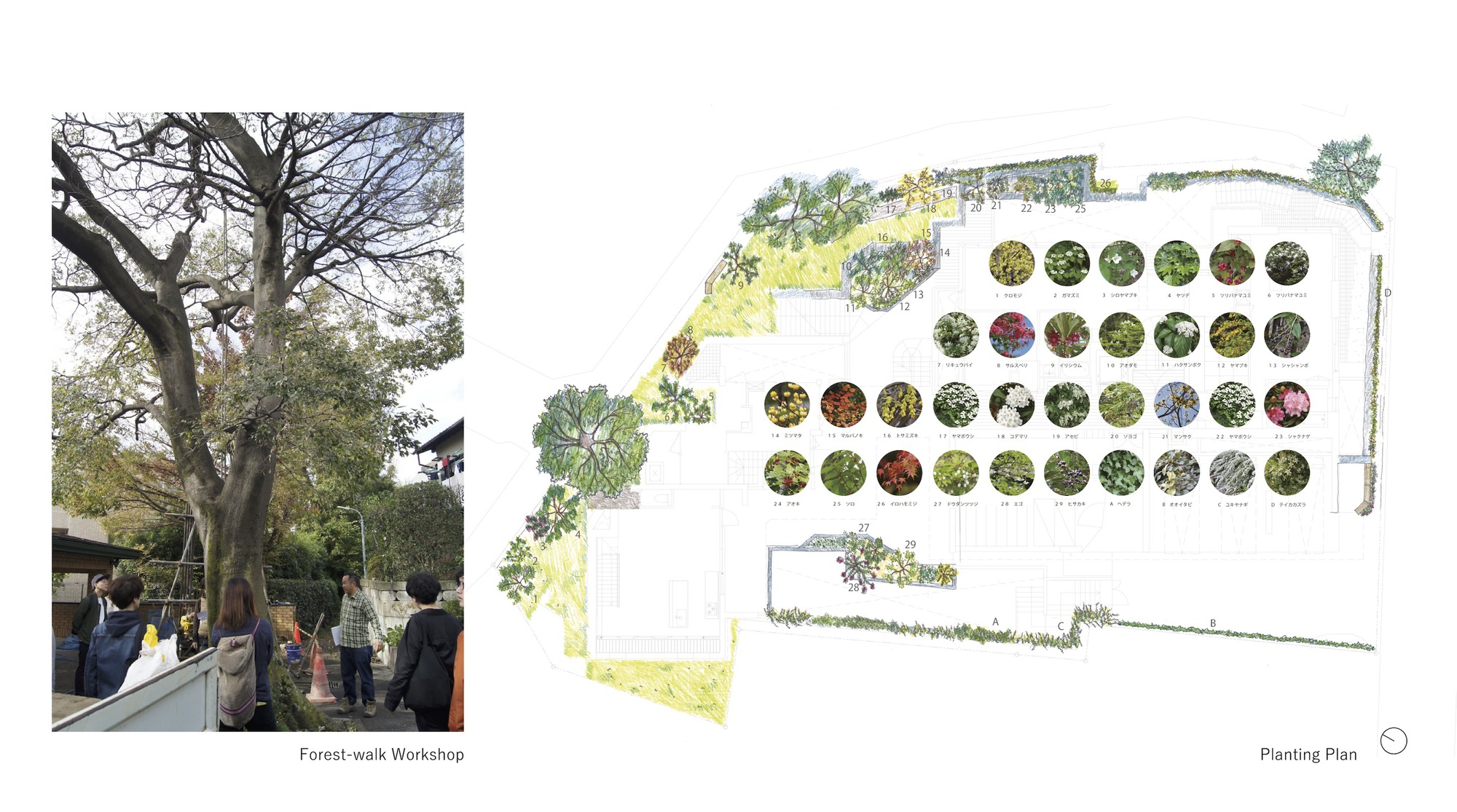 CHIDORI TERRACE Co-operative Housing Complex