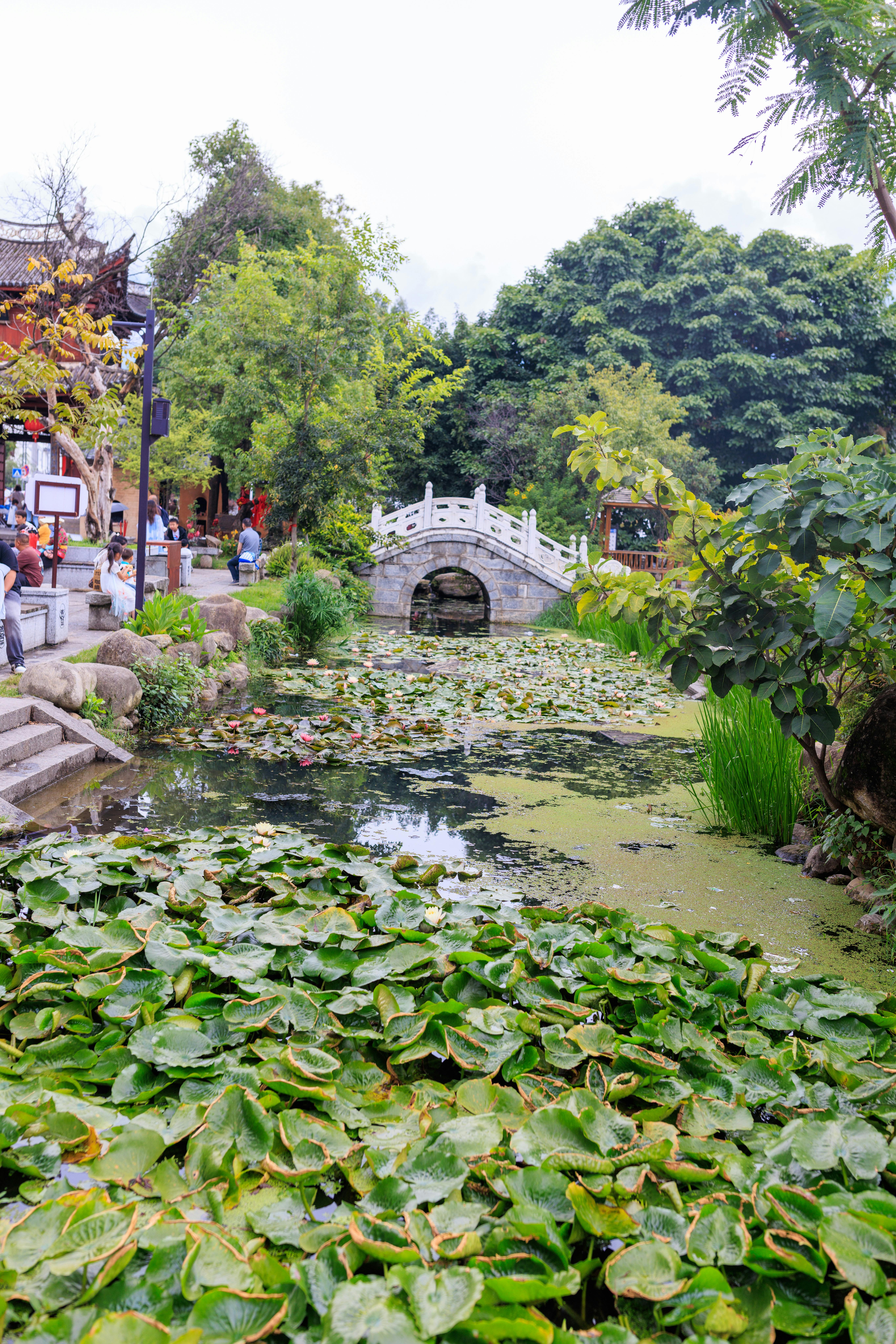 Revolutionary landscape architecture project transforming urban space