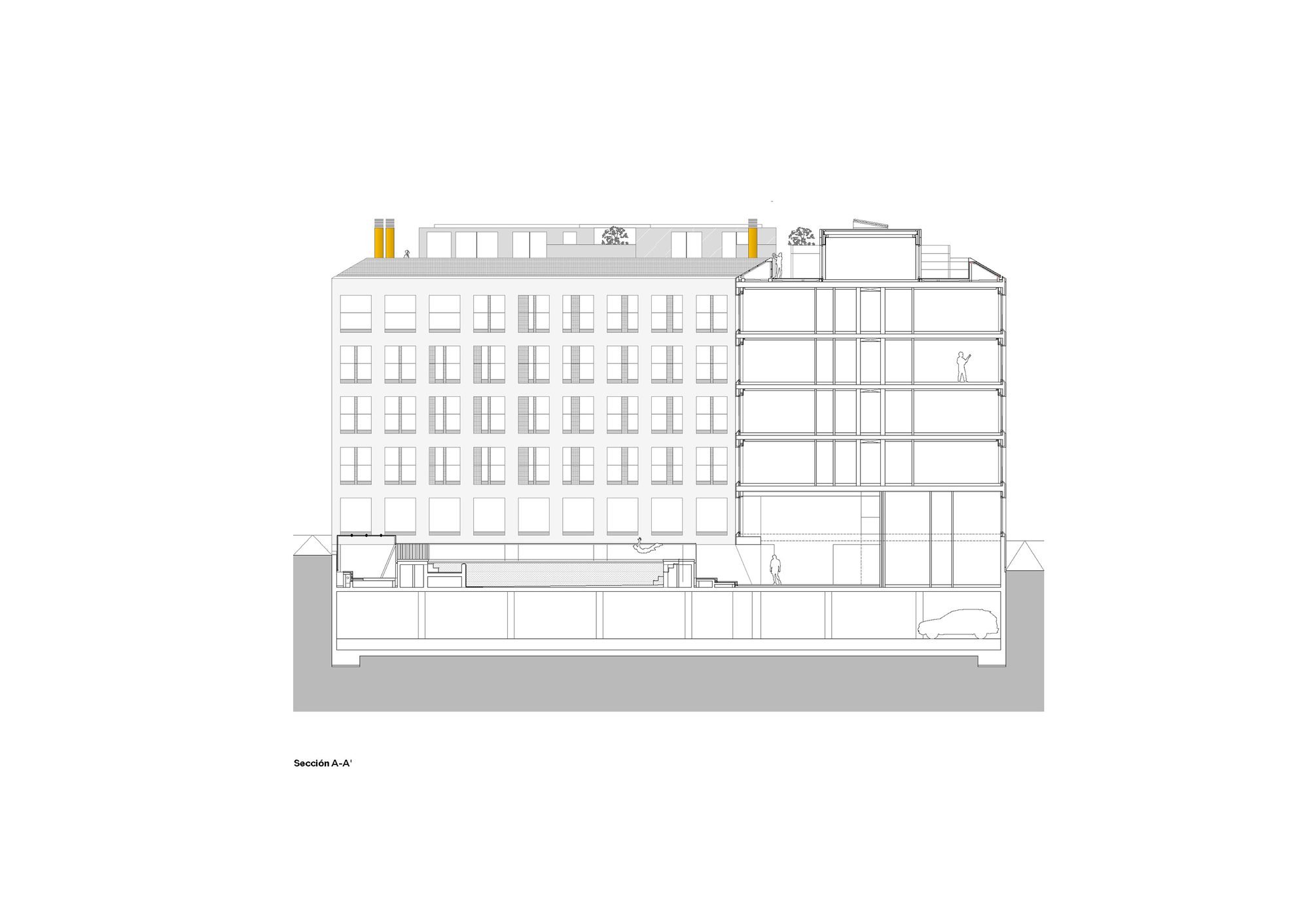 Section AA20