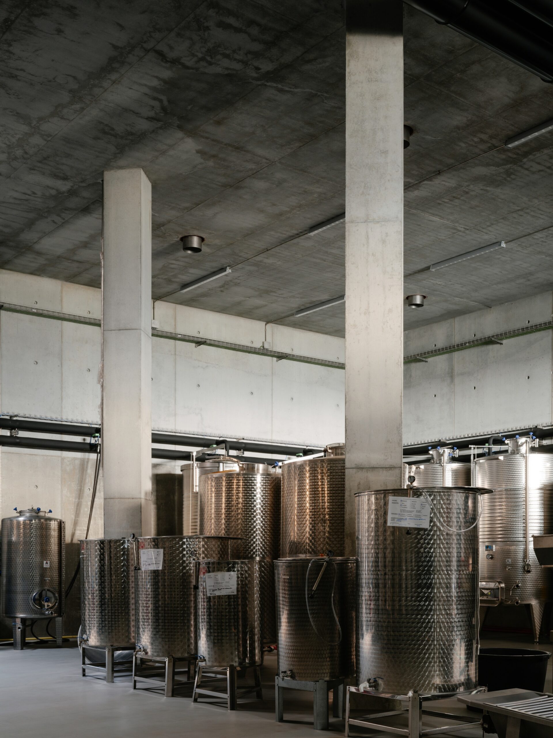 Winery Tenute Maestrale