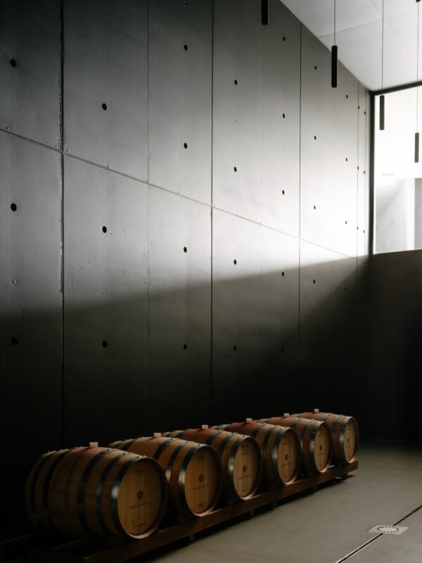 Winery Tenute Maestrale