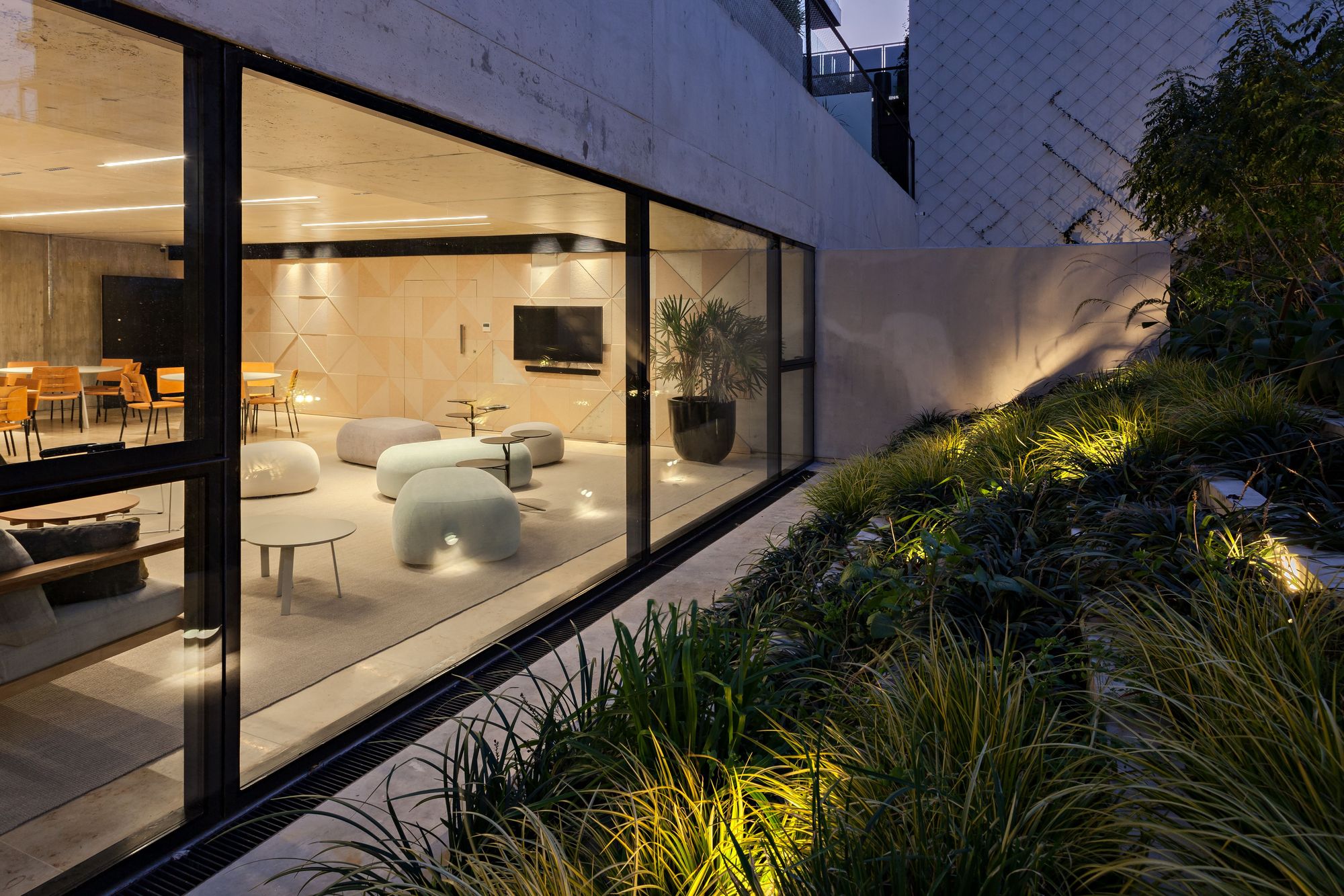 SENS Nicaragua
