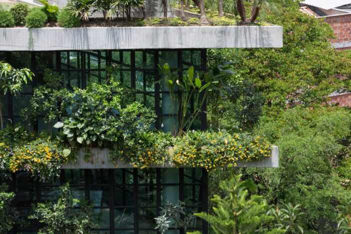 Matorral Building