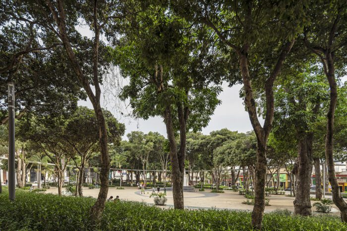 © Alejandro Arango3