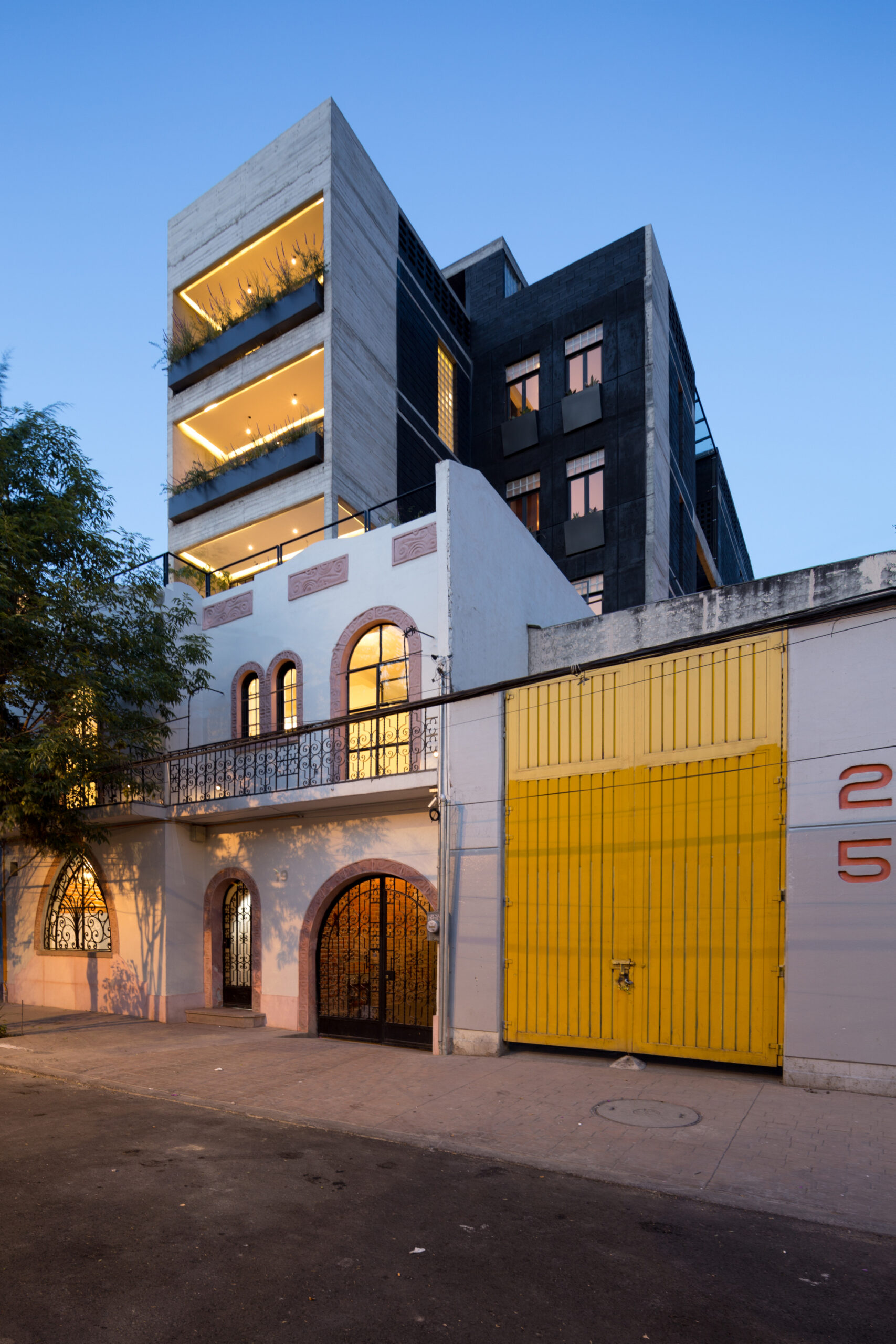 © Angélica Ibarra10