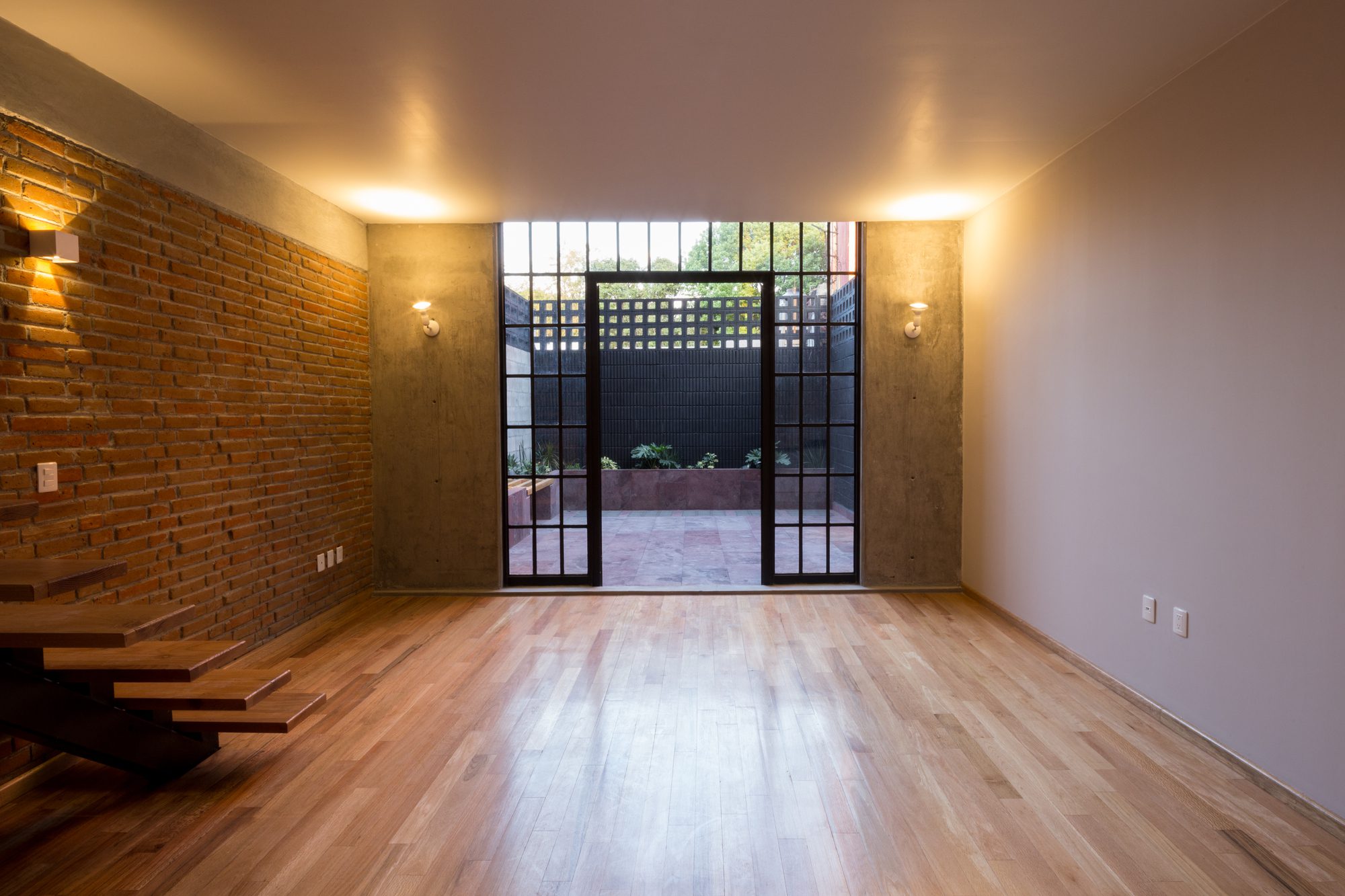 © Angélica Ibarra11