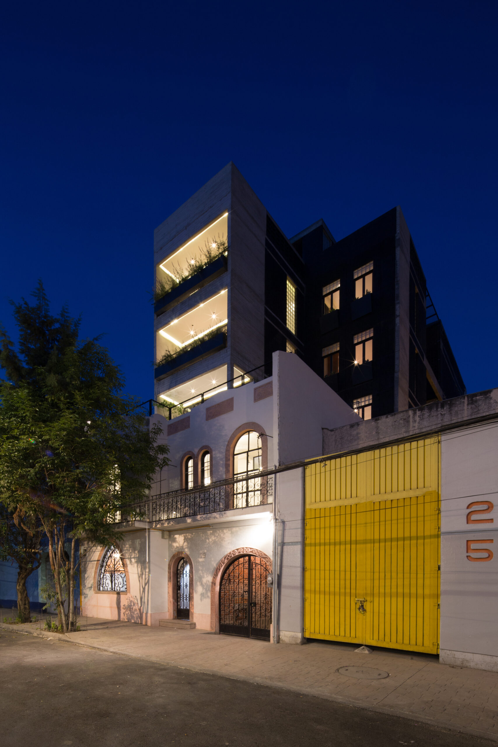 © Angélica Ibarra15