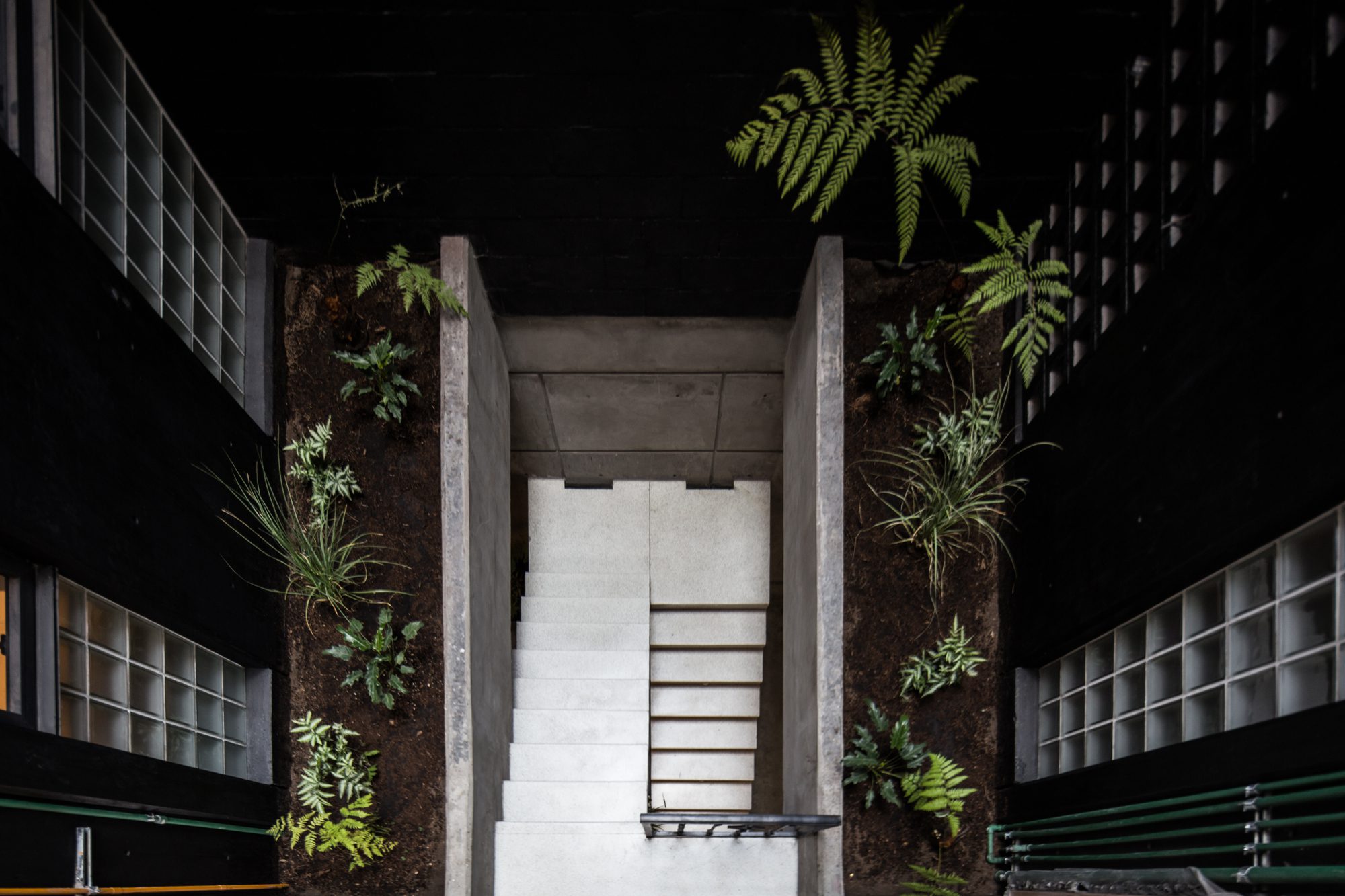 © Angélica Ibarra16