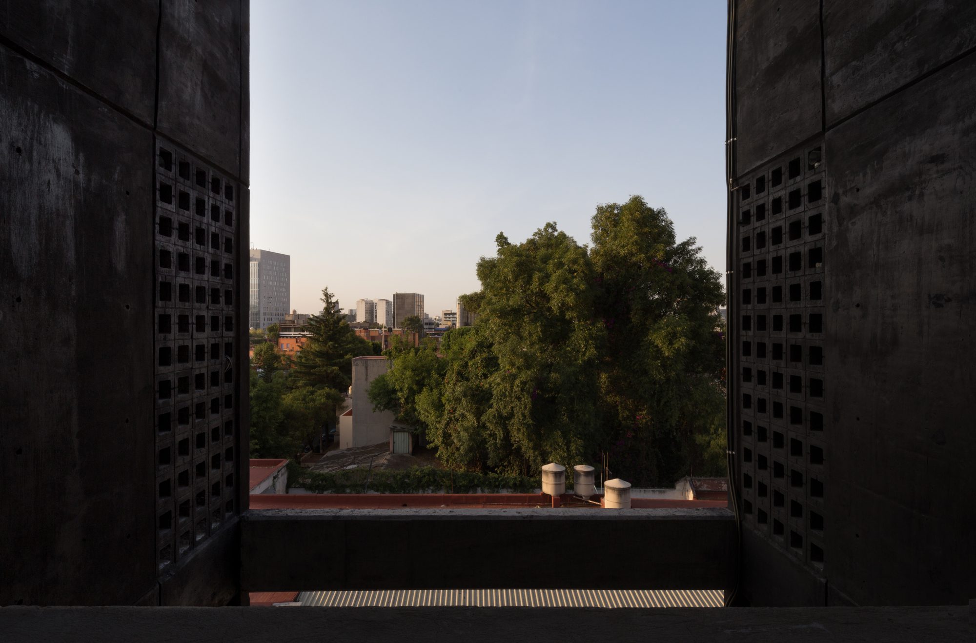 © Angélica Ibarra18