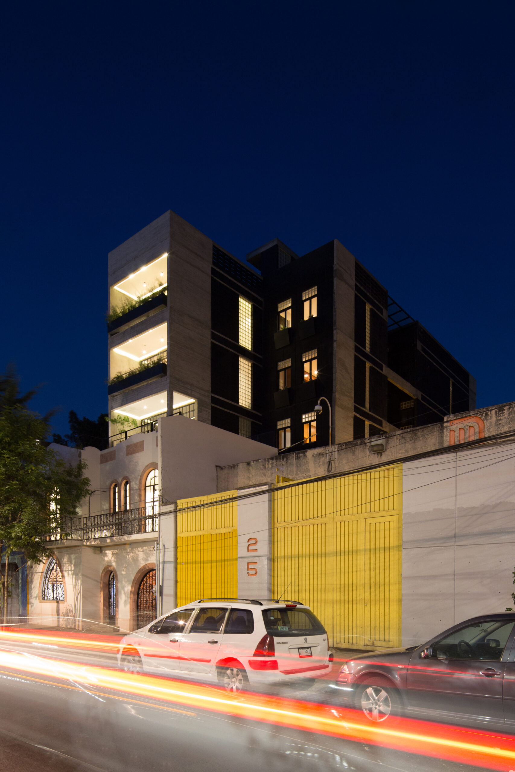 © Angélica Ibarra9