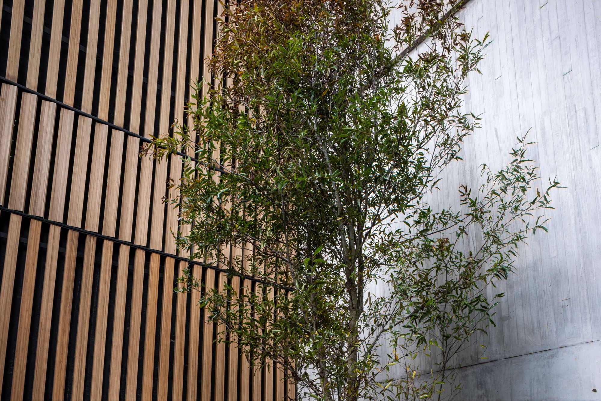 Edificio AN 867