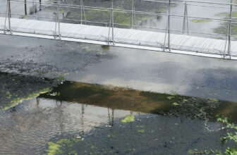Ephemeral Bridge