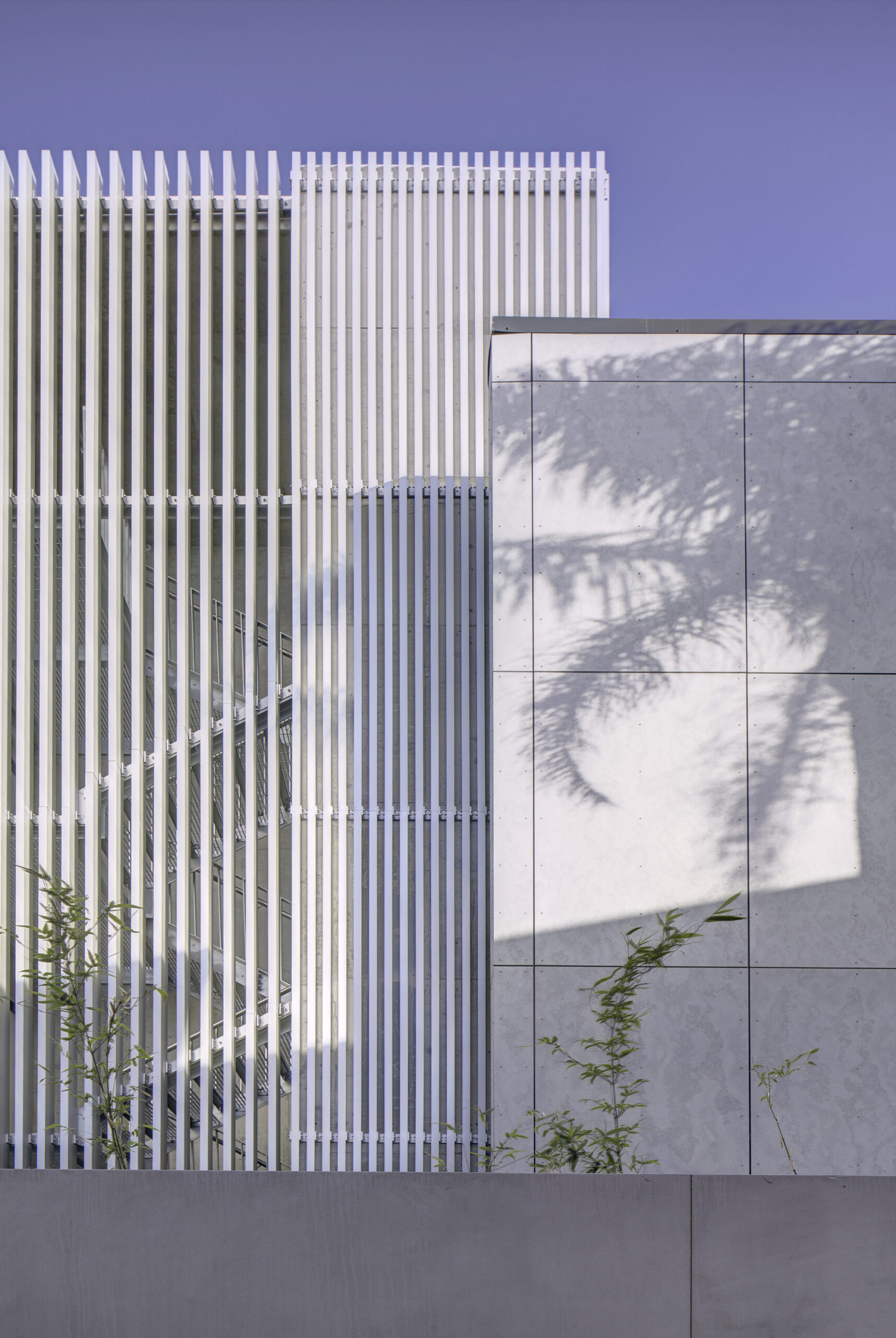 Bellevue Hill Apartments