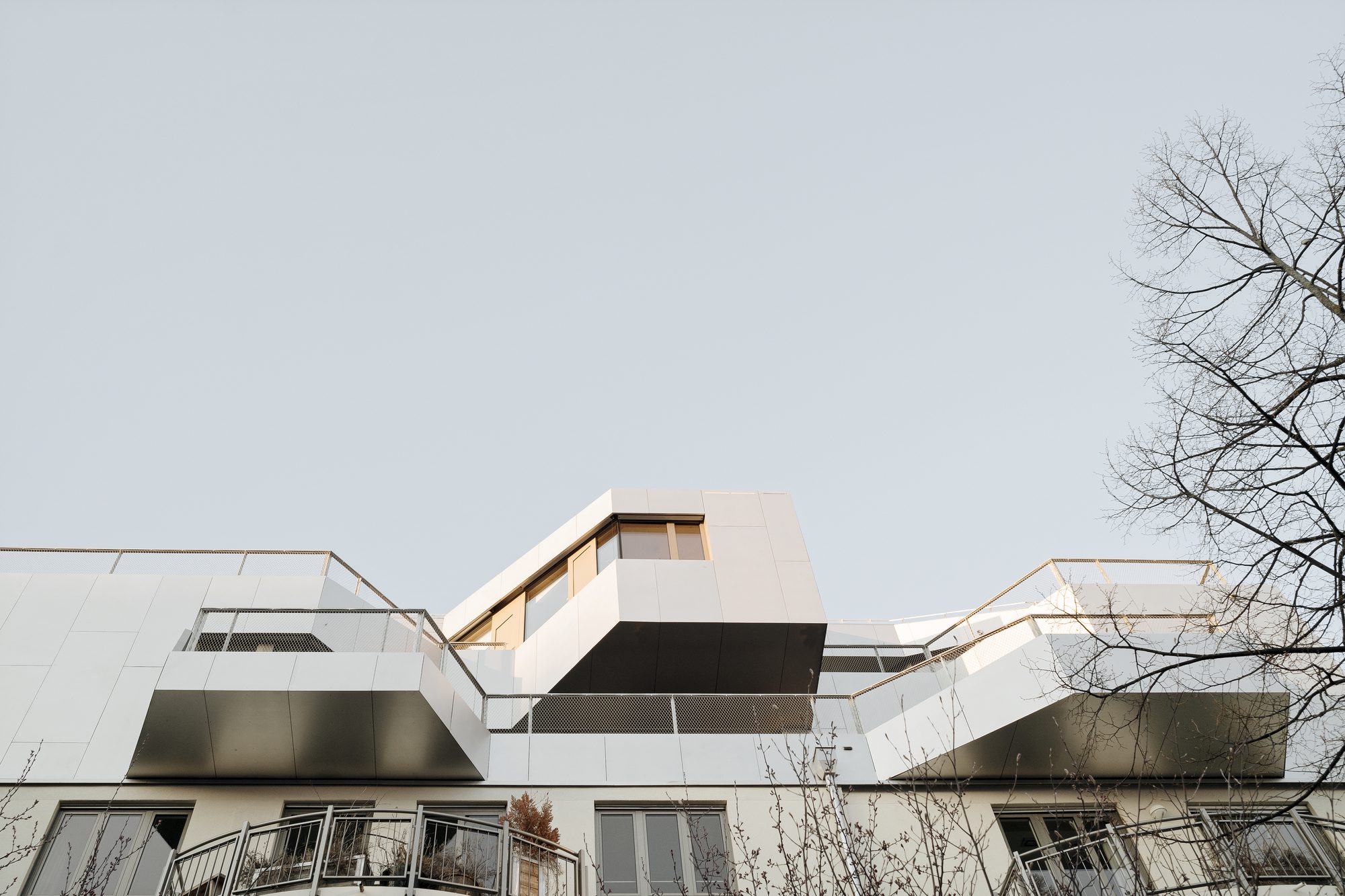 © Brigida González11