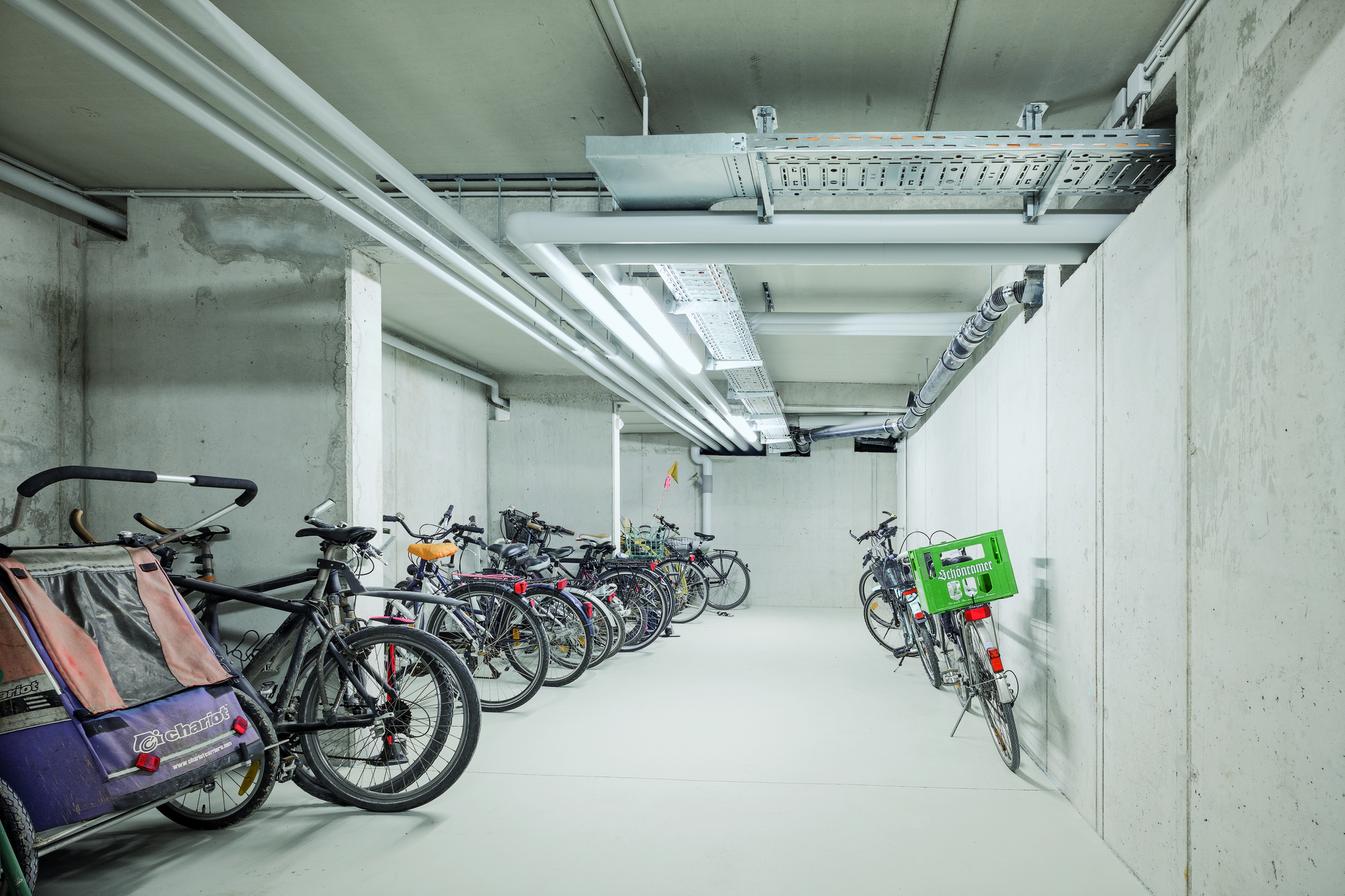 © Brigida González5