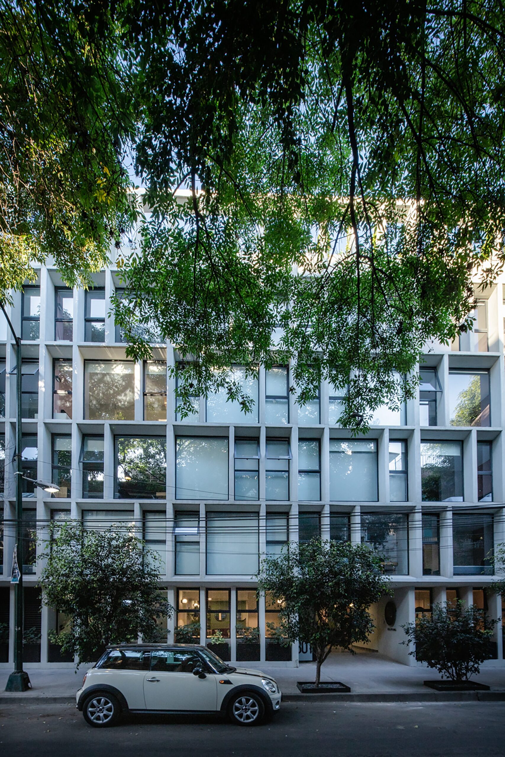NIU Coliving
