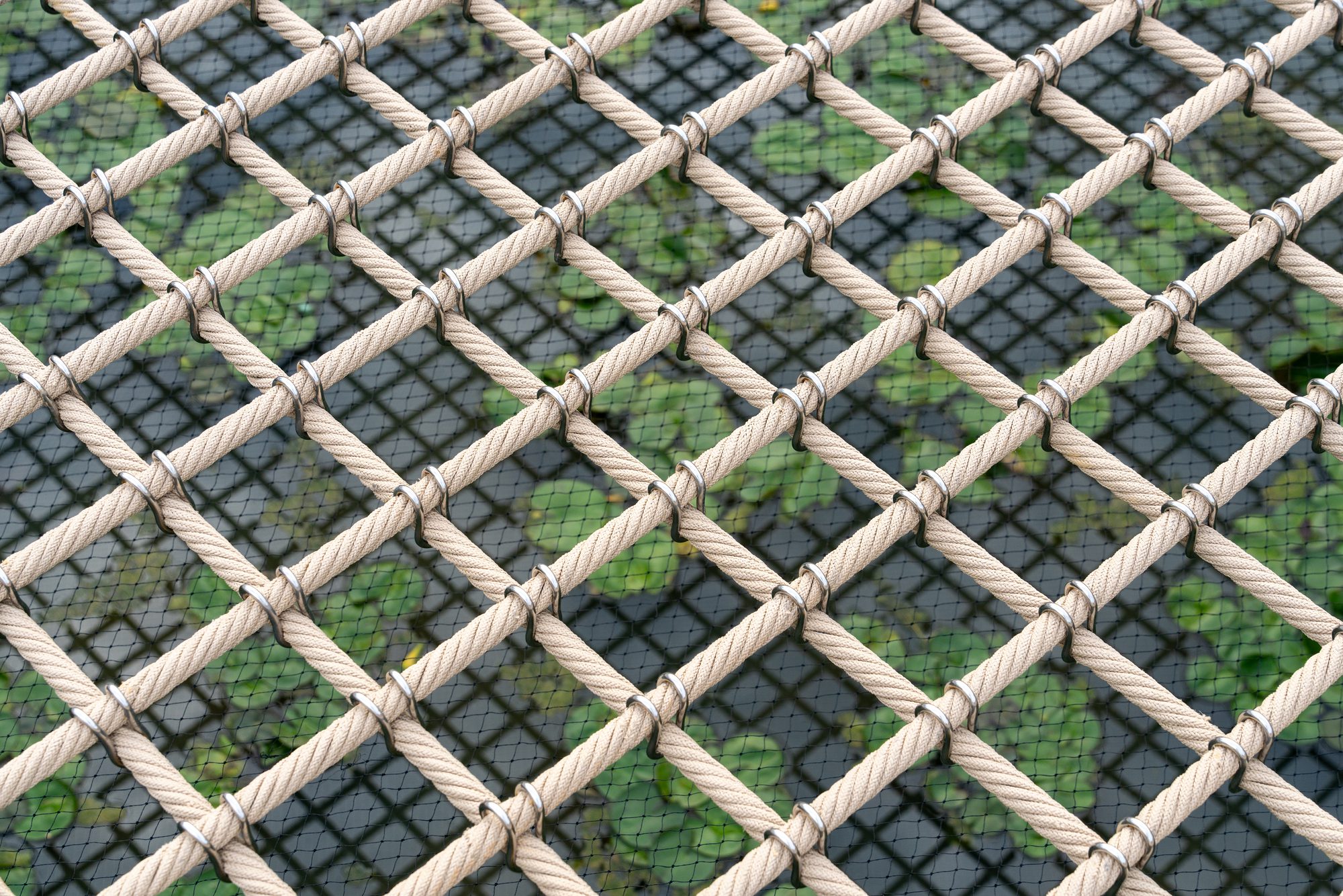 Soft Square in Changshou Village