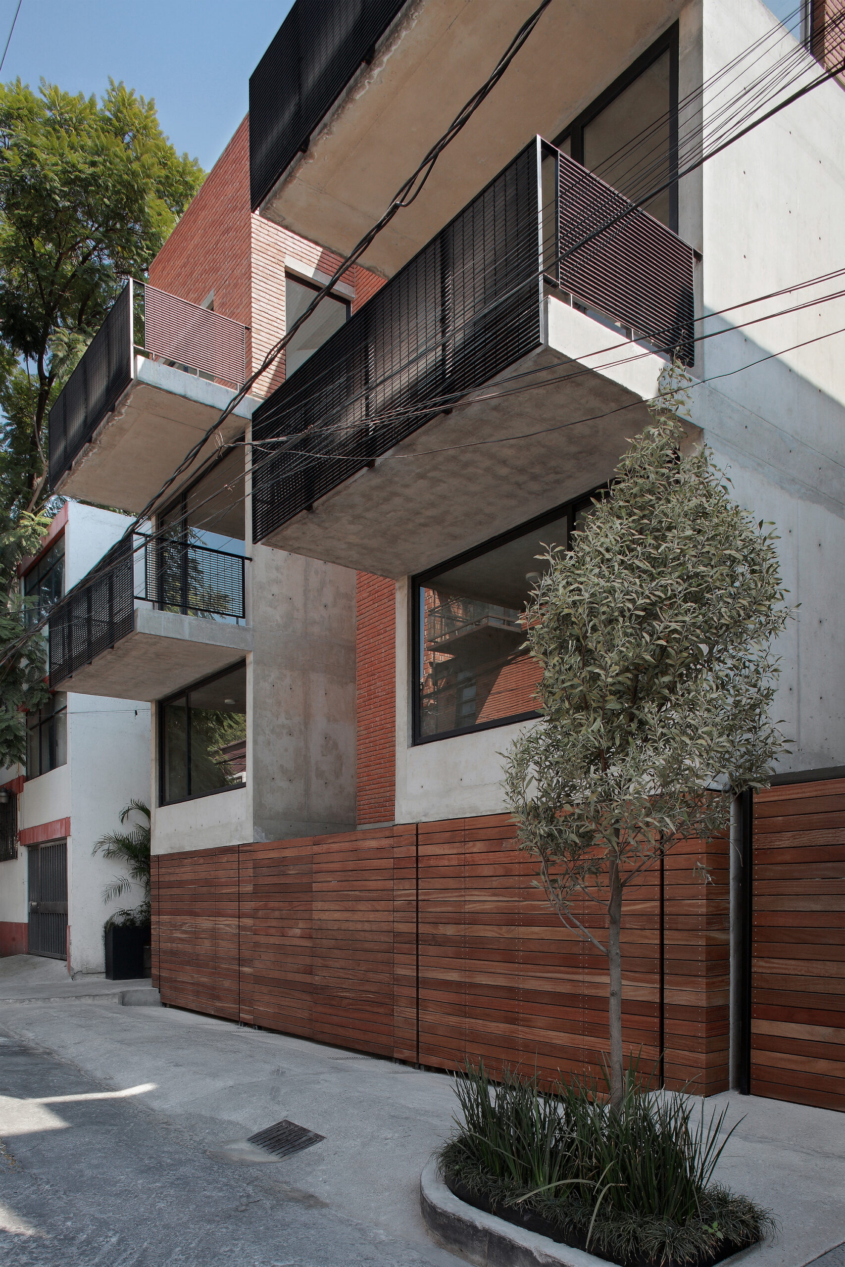 © Dante Busquets, Mauricio Salas, Paulino Ramírez18