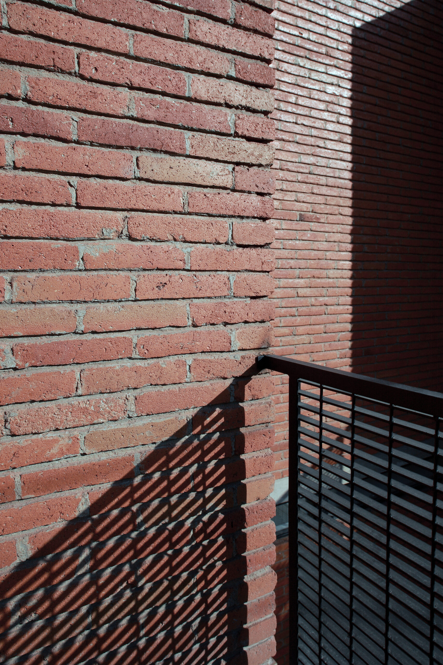 © Dante Busquets, Mauricio Salas, Paulino Ramírez19