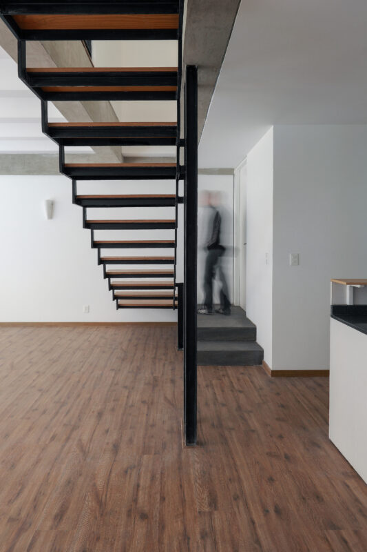 © Dante Busquets, Mauricio Salas, Paulino Ramírez2