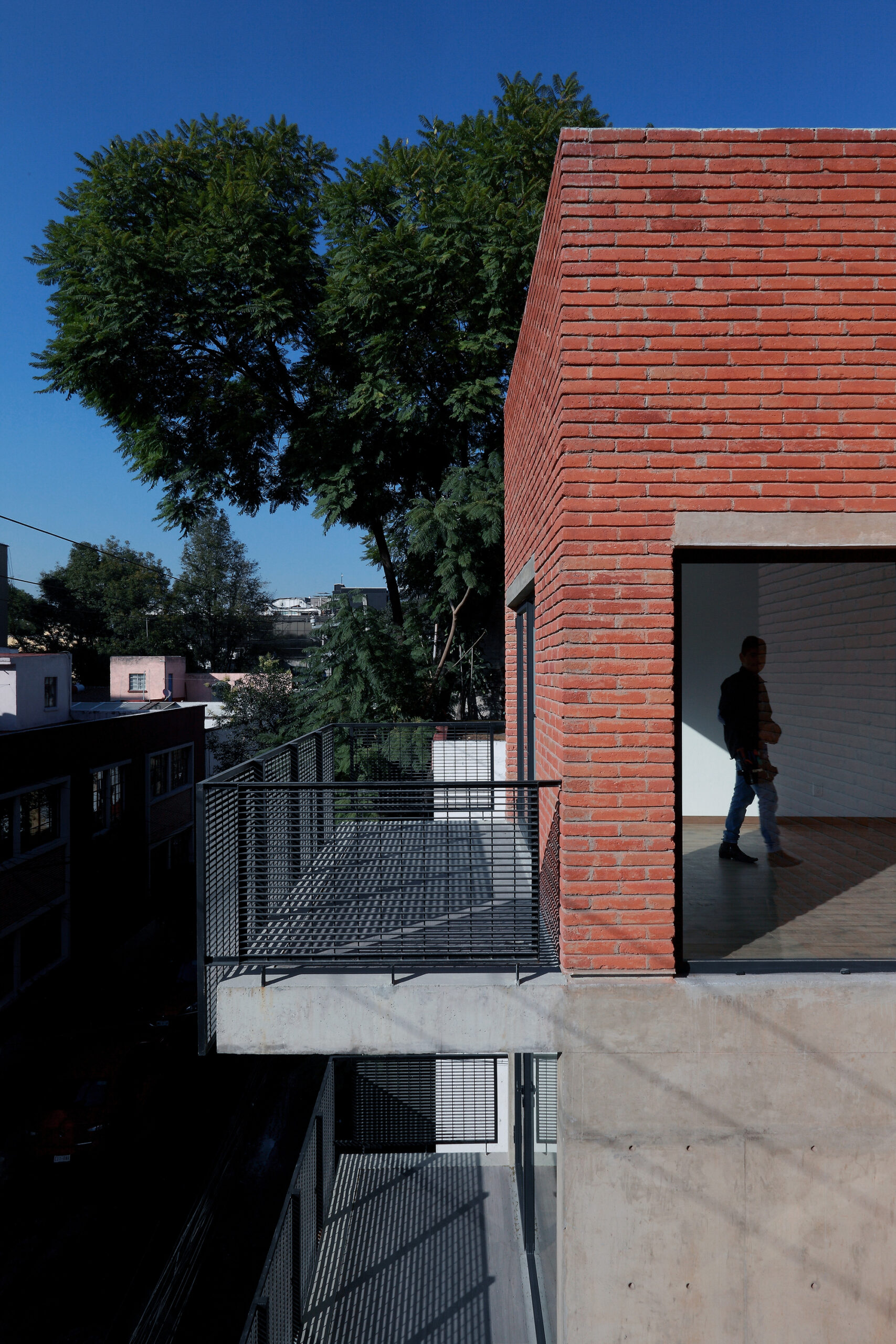 © Dante Busquets, Mauricio Salas, Paulino Ramírez4