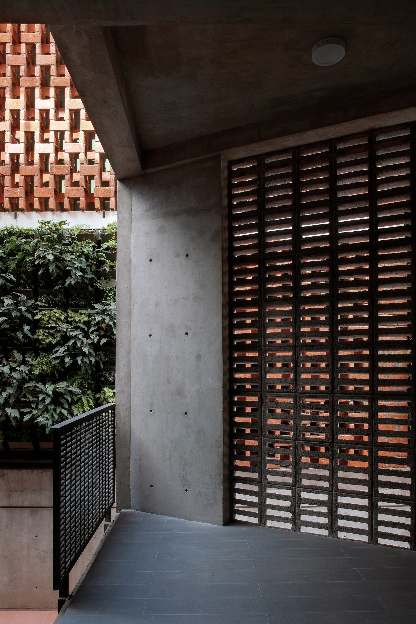 © Dante Busquets, Mauricio Salas, Paulino Ramírez6